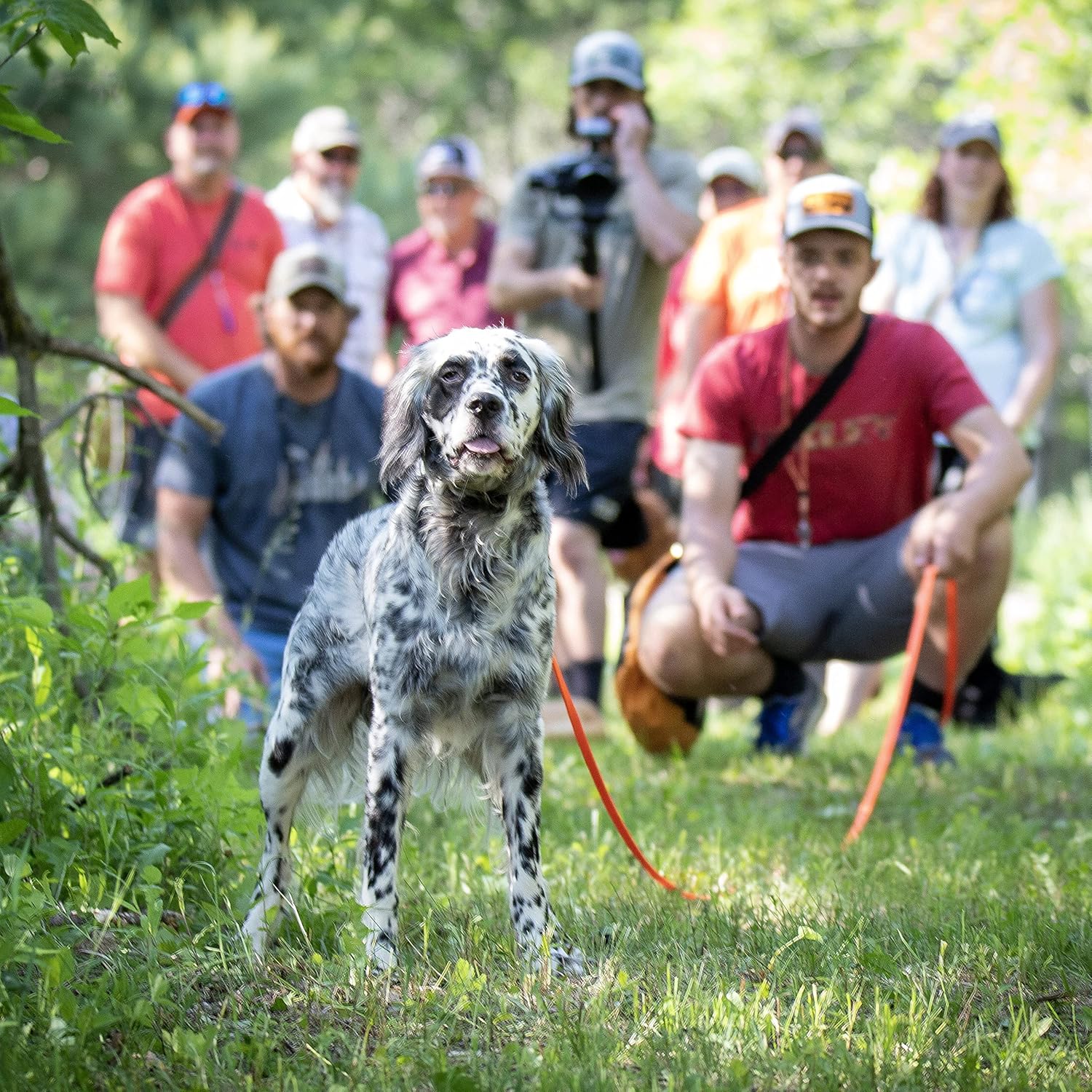 RigidBuilt Tracking Leash & Long Check Cord | 30 Feet | Waterproof Standard Dog Leash | Heavy Duty & Easy to Clean Hunting Dog Accessories