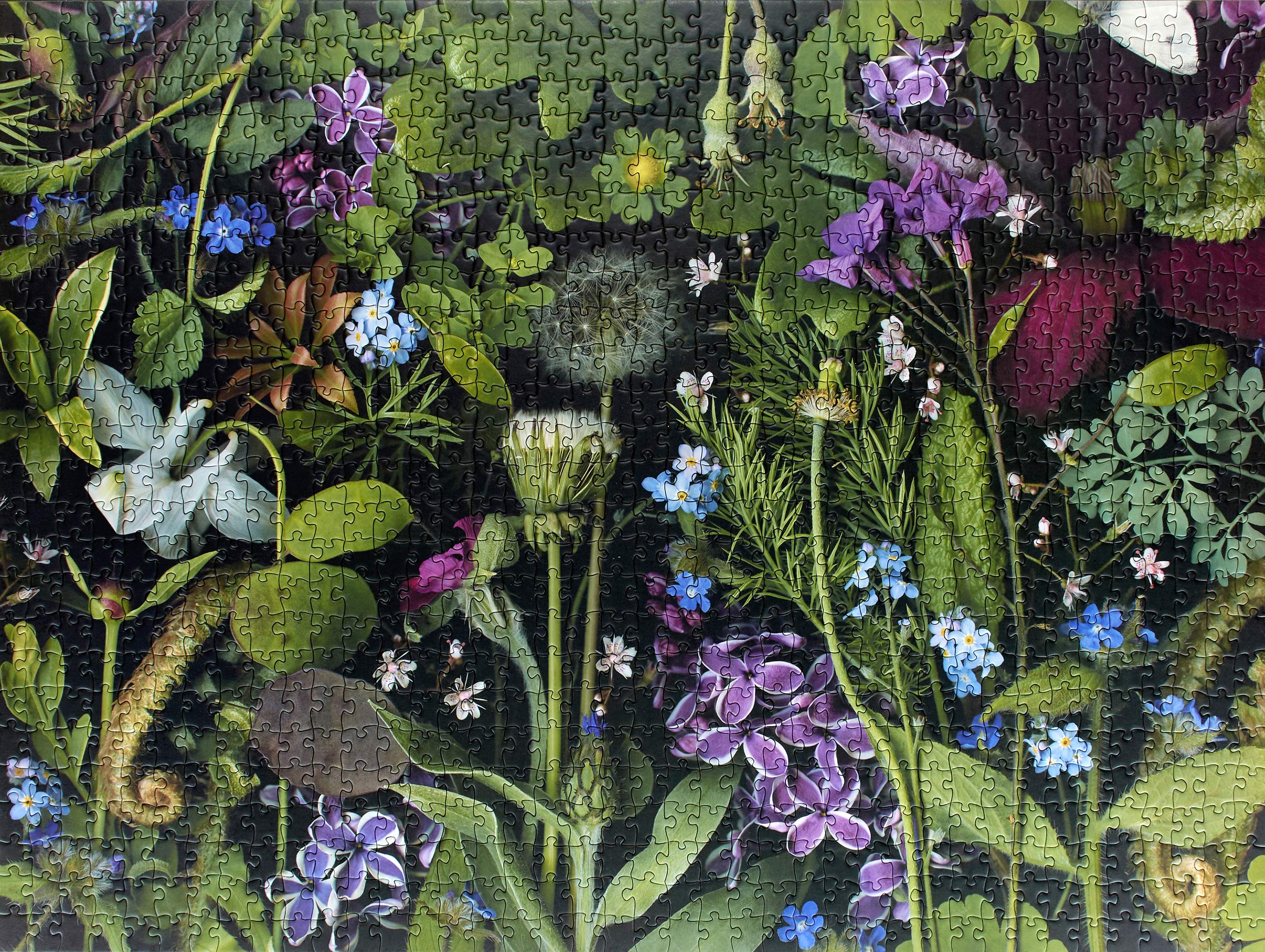 Pomegranate 1000-Piece Jigsaw Puzzle for Adults, Deb Stoner's Siris' Lilac, Matte Finish, Snug Fit - Image 2