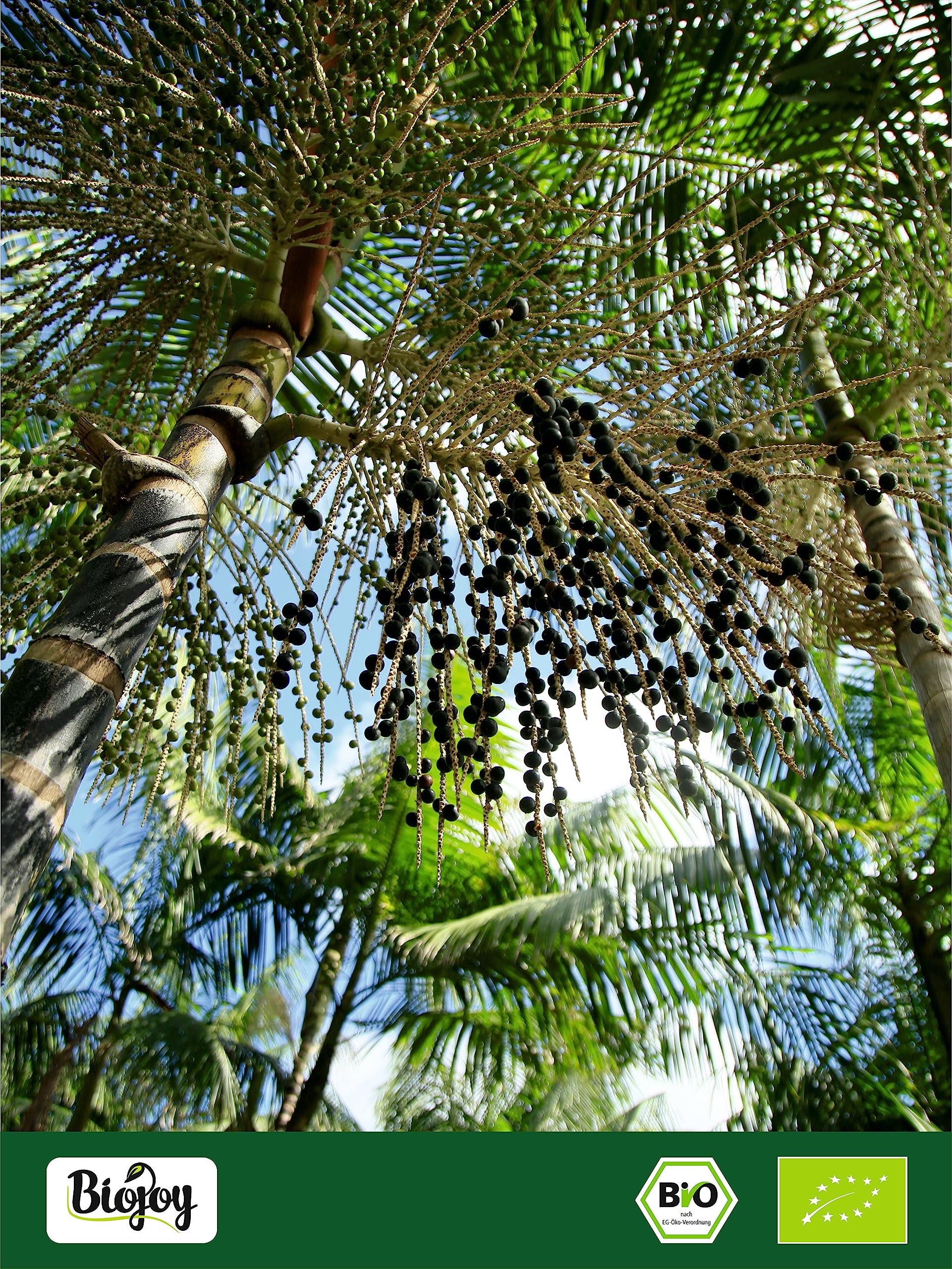 Biojoy Açaï en Poudre BIO (250 g), Poudre de Baies d’Acai lyophilisé (Euterpe oleracea Mart.)