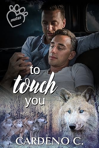 To Touch You (Mates Book 4)
