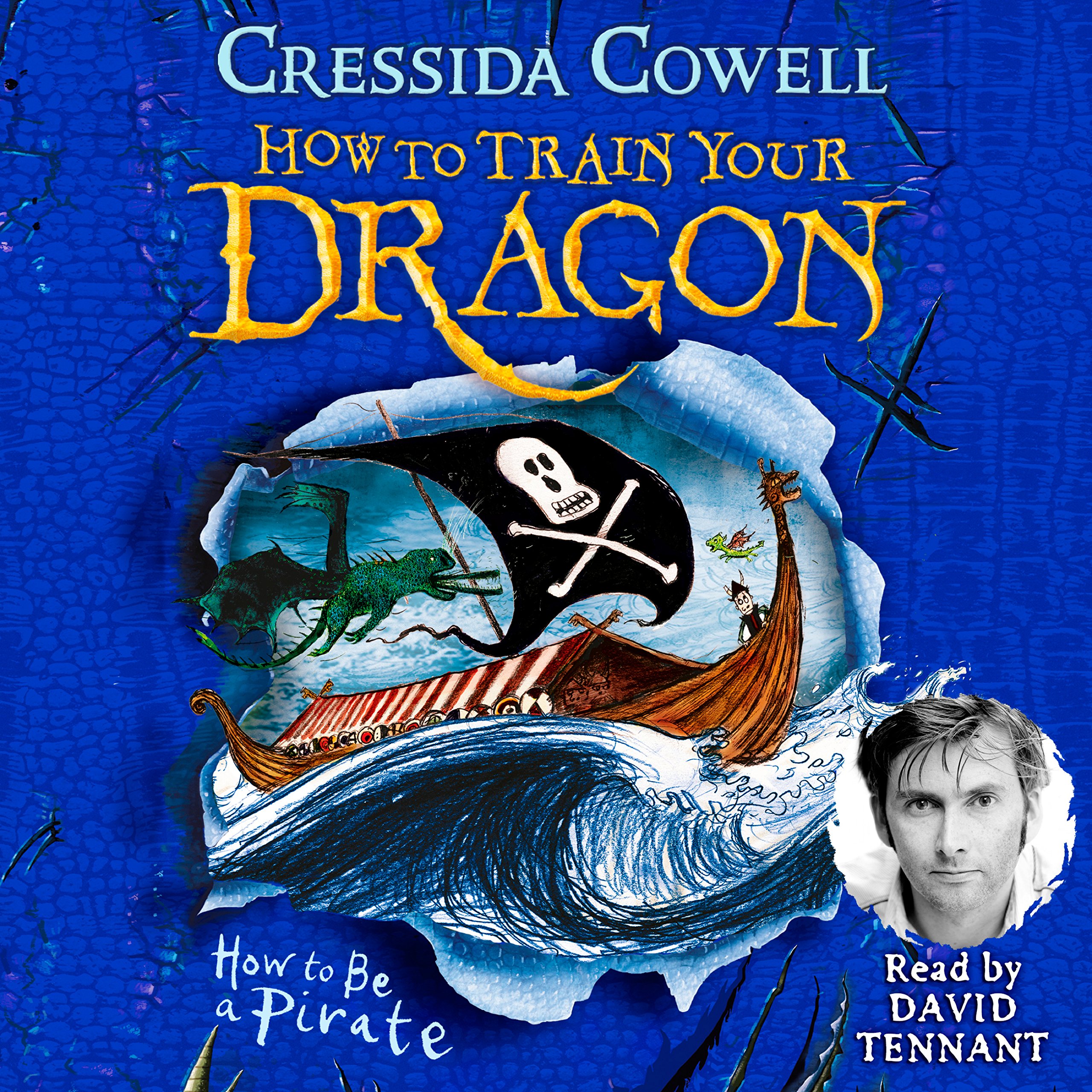 Cover art for How to Be a Pirate