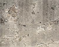 Vista 1 de WR50520 Mural de pared de hormigón roto