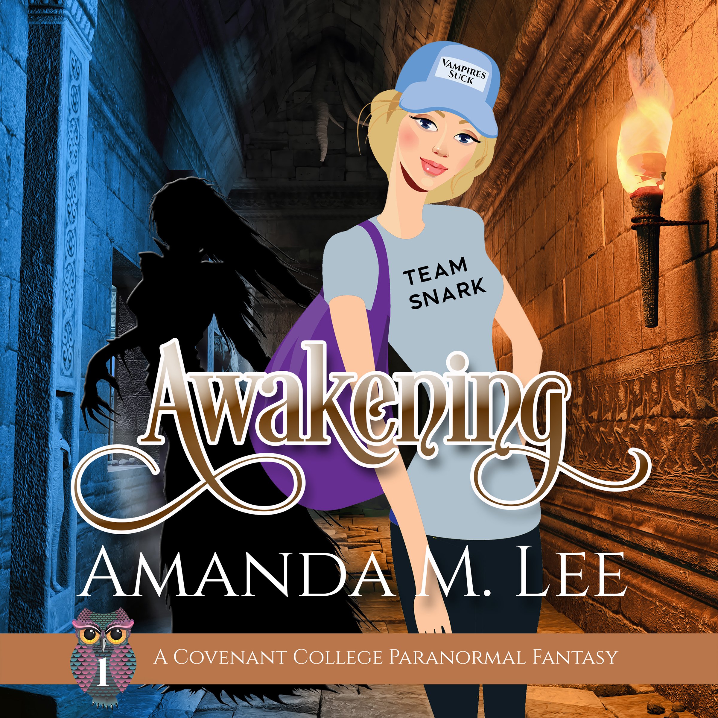 Cover art for Awakening: Covenant College, Book 1