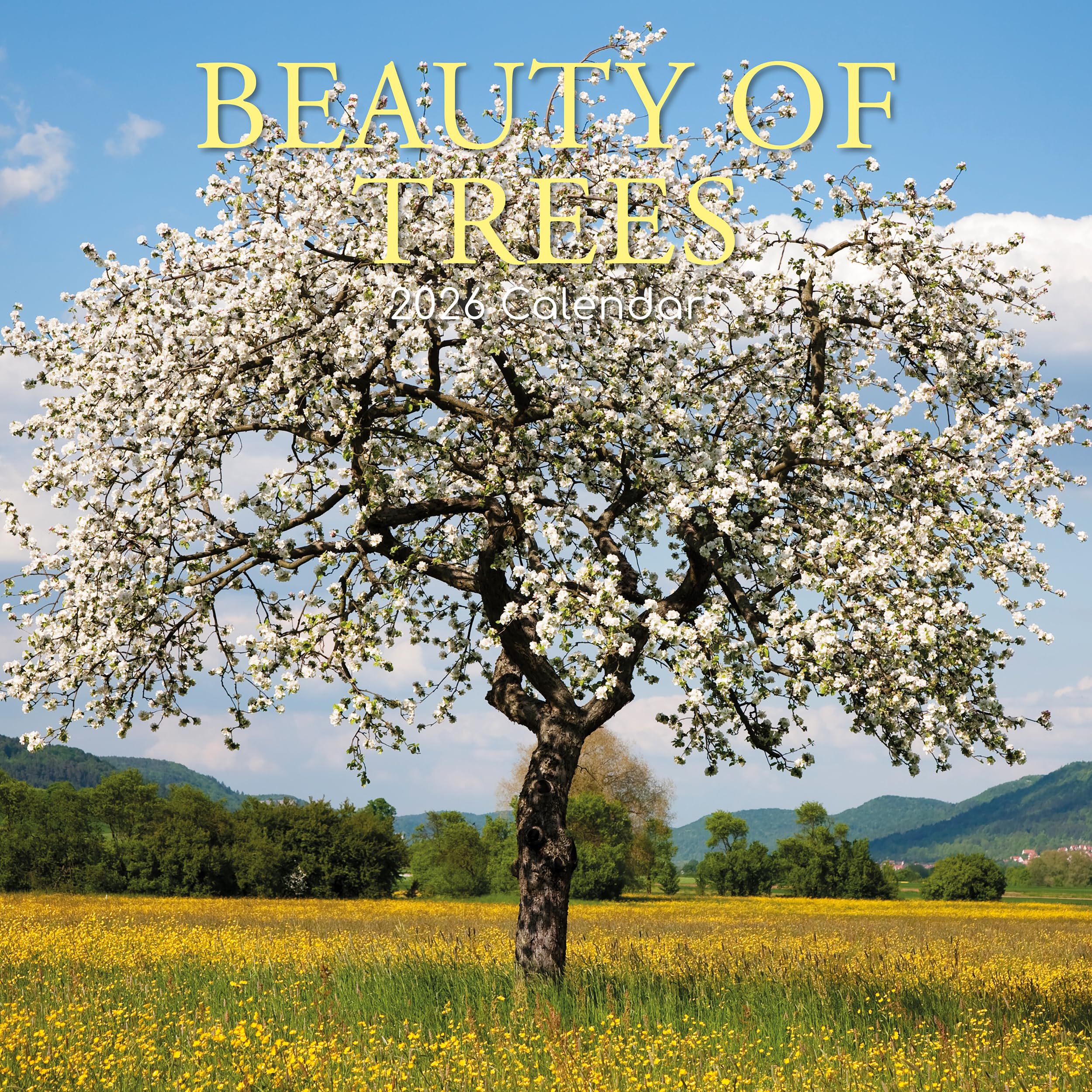 TGSC | Beauty of Trees 2026 Calendar 16 Month (Sept 2025-Dec 2026) Family Square Wall Calendar 2026 UK | Planner with Large Grid for Home or Office Organisation - 2026/2025 Calendar UK