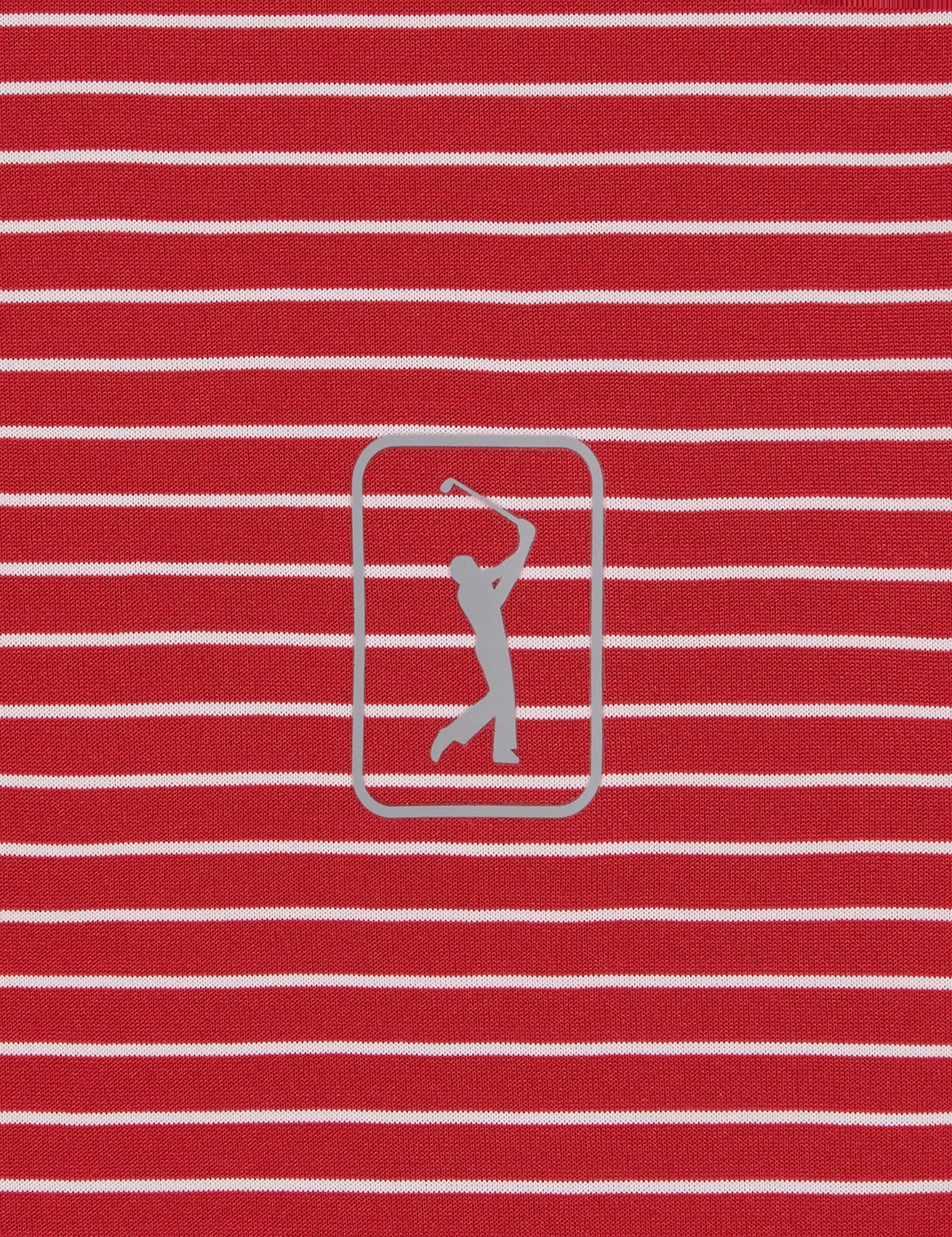 PGA Tour Men's Golf Polo Shirt, Stripe Design, Natural Stretch, Short Sleeve, Regular Fit