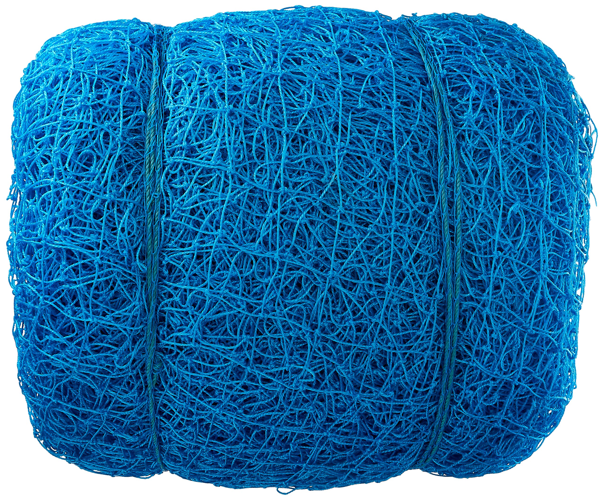 Cricket Boundary Net - RAISCO - Blue -19