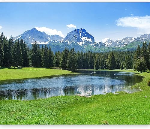 artgeist Mural de pared Paisaje 116 x 91 pulgadas - Papel tapiz autoadhesivo removible de gran tamaño para decoración de pared, diseño de imagen,
