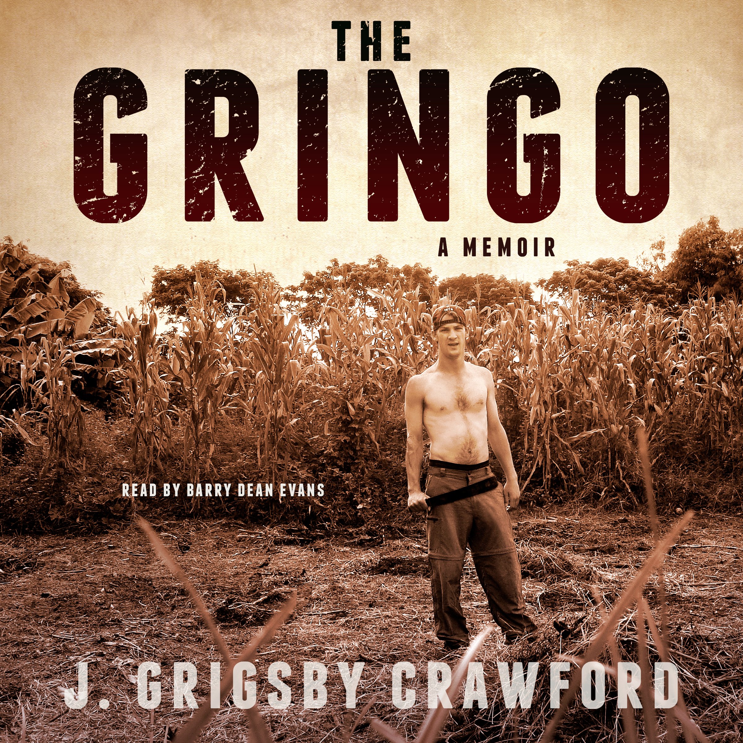 Cover art for The Gringo