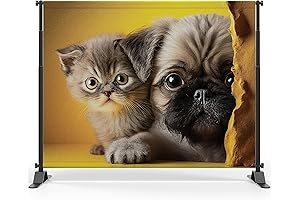 Step and Repeat Backdrop: Custom Made, Extra Durable