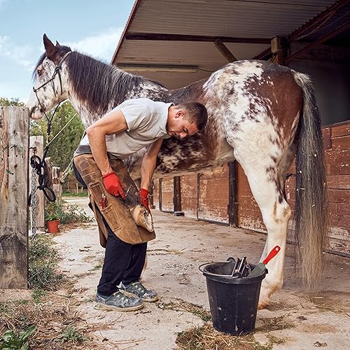 Miniatura 5 de Rural365 Mini escobilla de pezuñas: lima equina y de cabra con mango de goma
