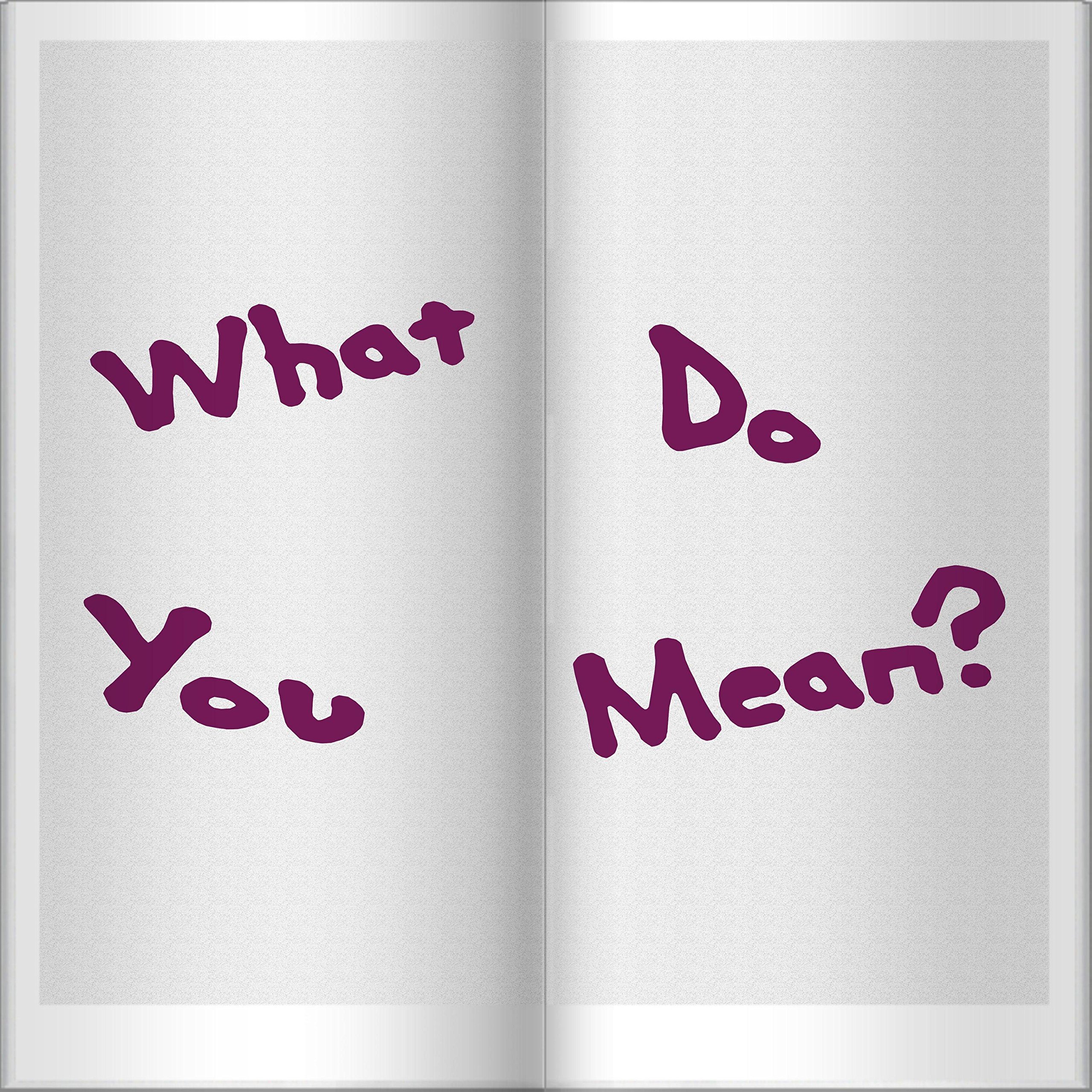 What Do You Mean