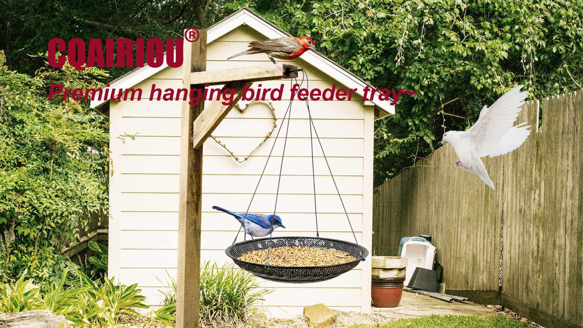 Amazon.com : CQAIRIOU Upgraded Hanging Bird Feeder Tray (2