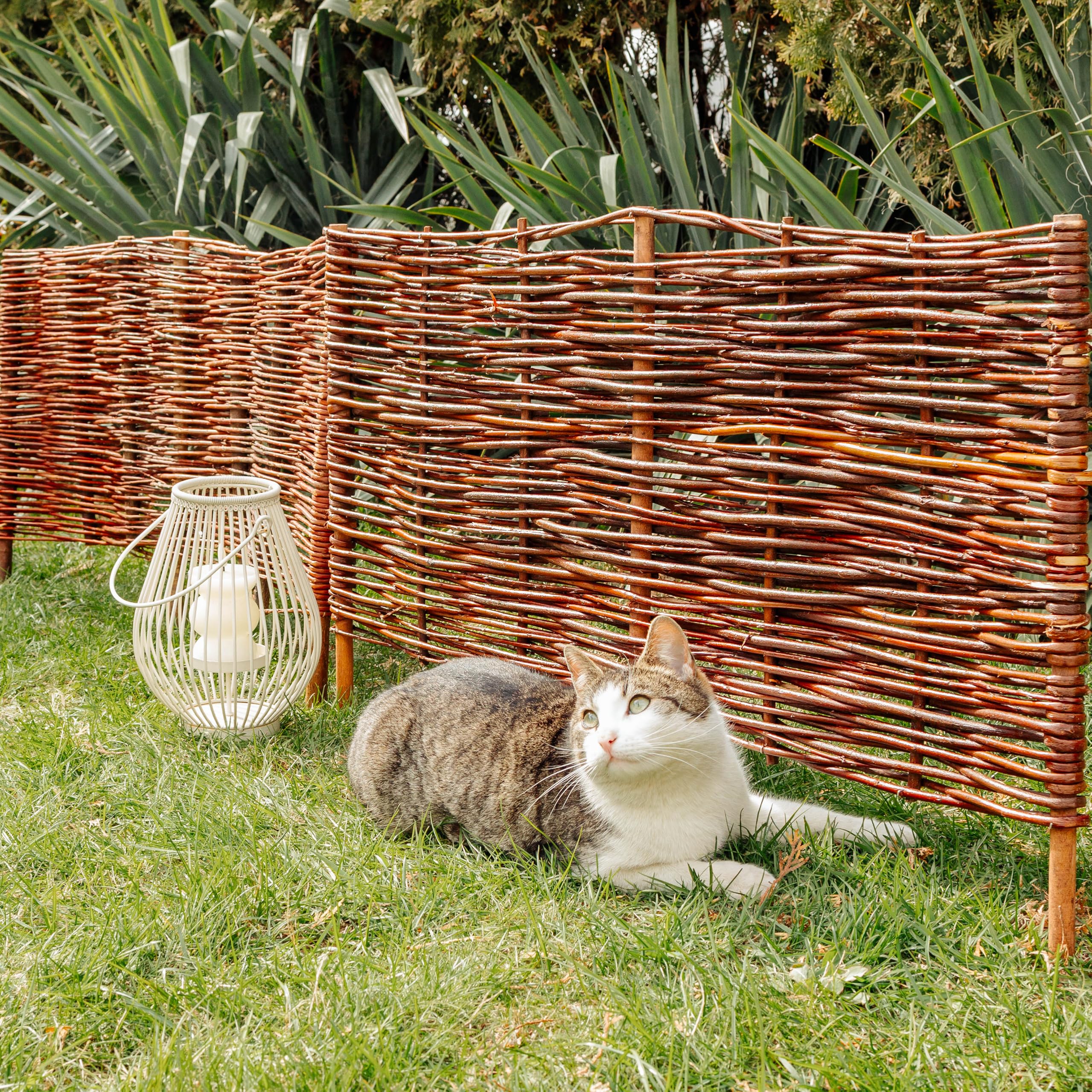 Creative Home Set de 5 Vallas de Mimbre Natural | Tamaño: 60 x 50 cm (+/- 1 cm) | Valla de Jardín para Delimitar Parterres Decorativa | Cerramiento Cercado de Césped | para Jardín Balcón Terraza
