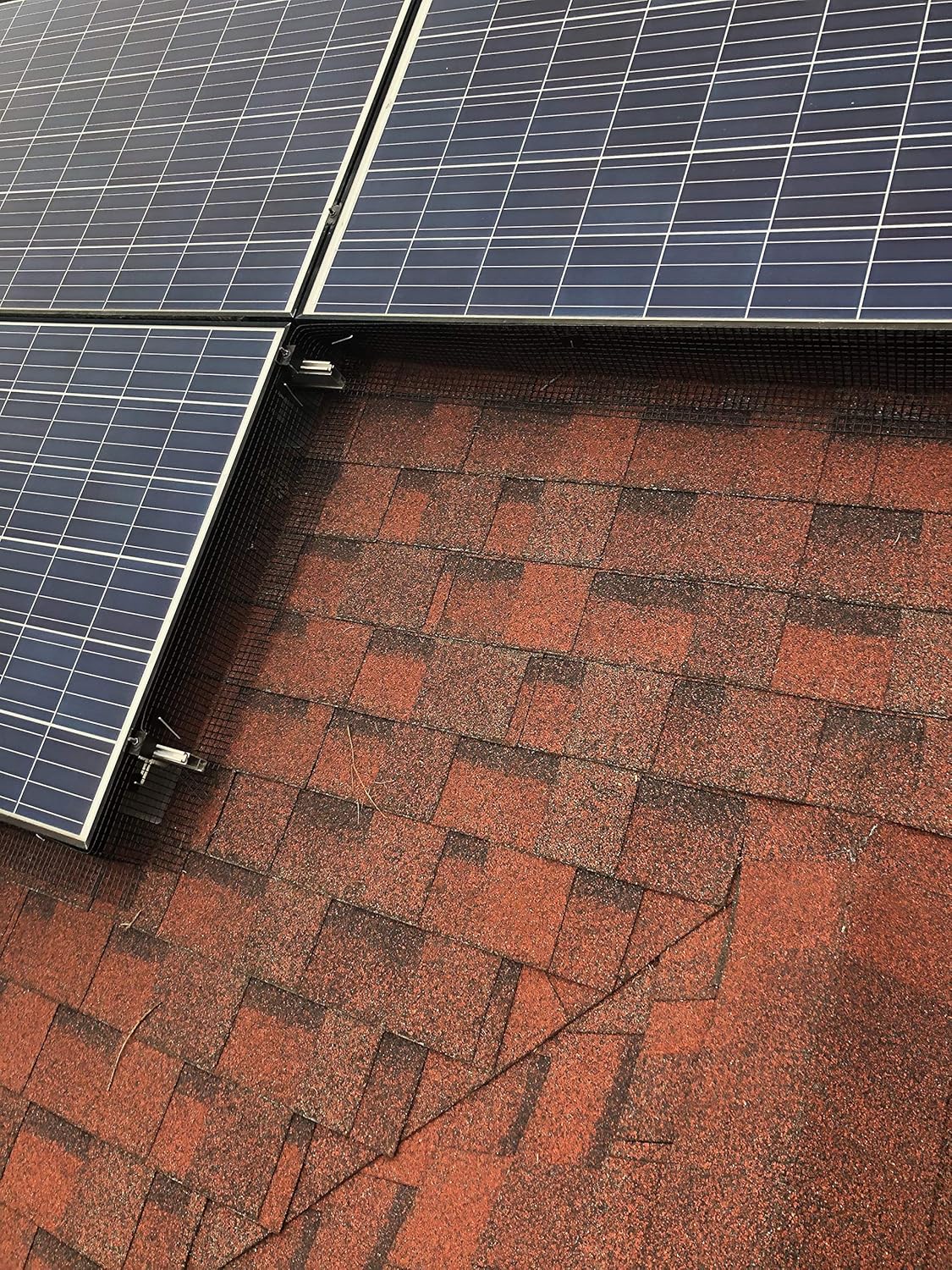 Get Special Price 6 Squirrel Guard Kit. 6 in. 100 ft. PVC Coated Galvanized Steel roll and 100 Aluminum Fasteners. Promo Discount Up To 70% Off 6 Squirrel Guard Kit. 6 in. 100 ft. PVC Coated Galvanized Steel roll and 100 Aluminum Fasteners.