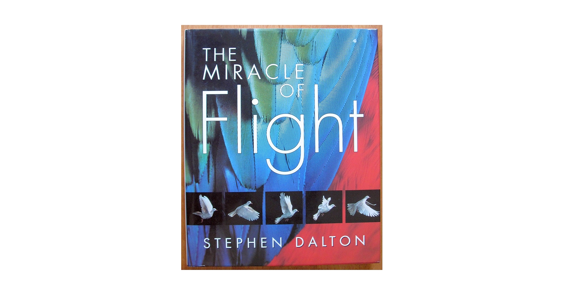 The Miracle of Flight: Dalton, Stephen: 9781552093788: Amazon.com