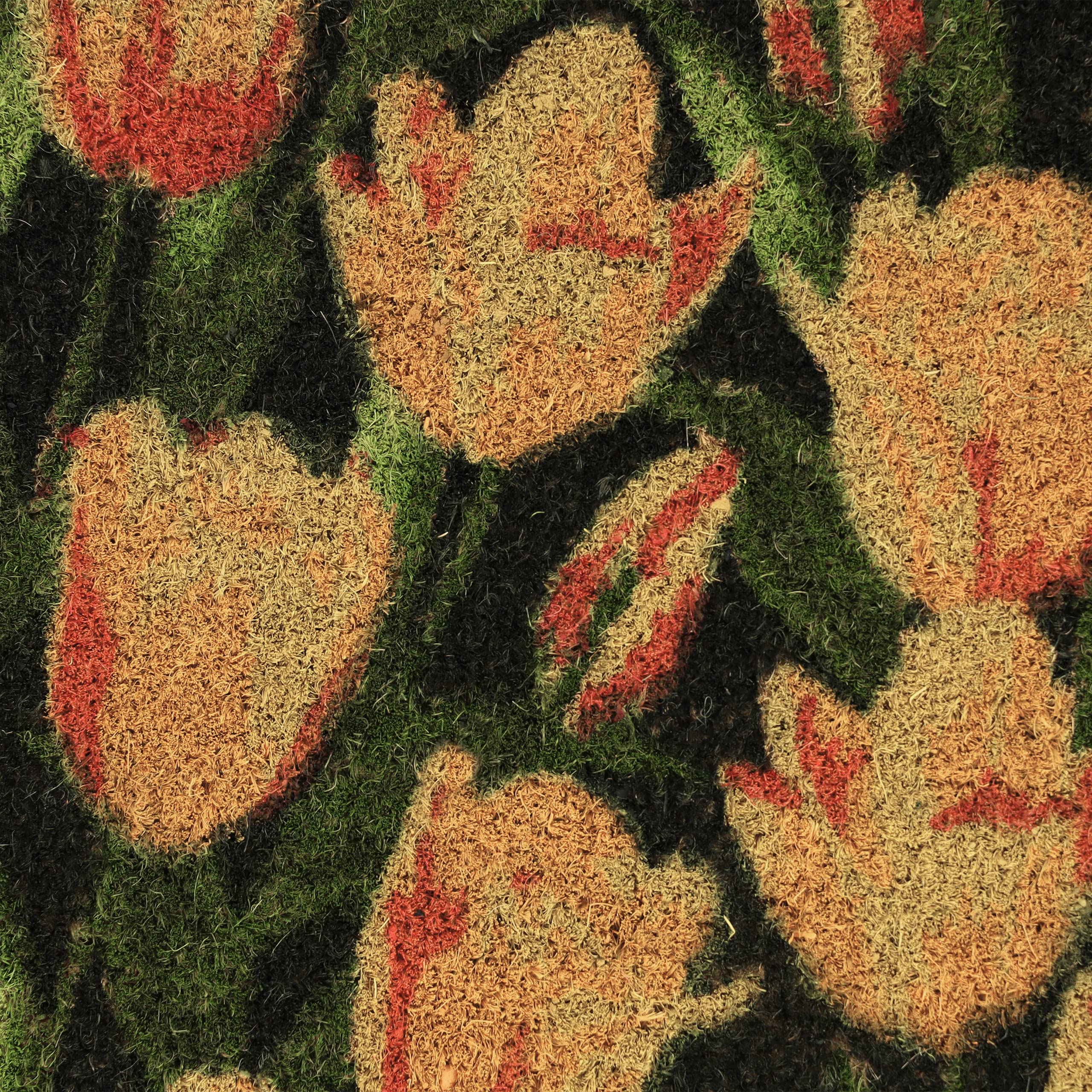 Relaxdays Paillasson Coco, Tapis de Porte Motif de Tulipes, 40 x 60 cm, résistant aux intempéries, antidérapant, coloré