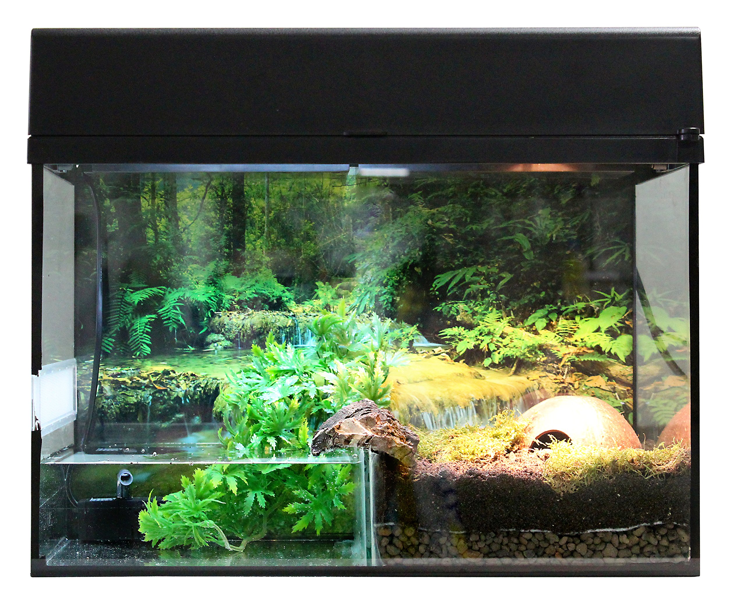 Lucky Reptile Starter Kit Bombina/Pacman 50 cm - hochwertiges Terrarium Komplettset für Frösche - Terrarien Set mit Glassteg & Innenfilter - Amphibien Starter Set für Einsteiger in schwarz
