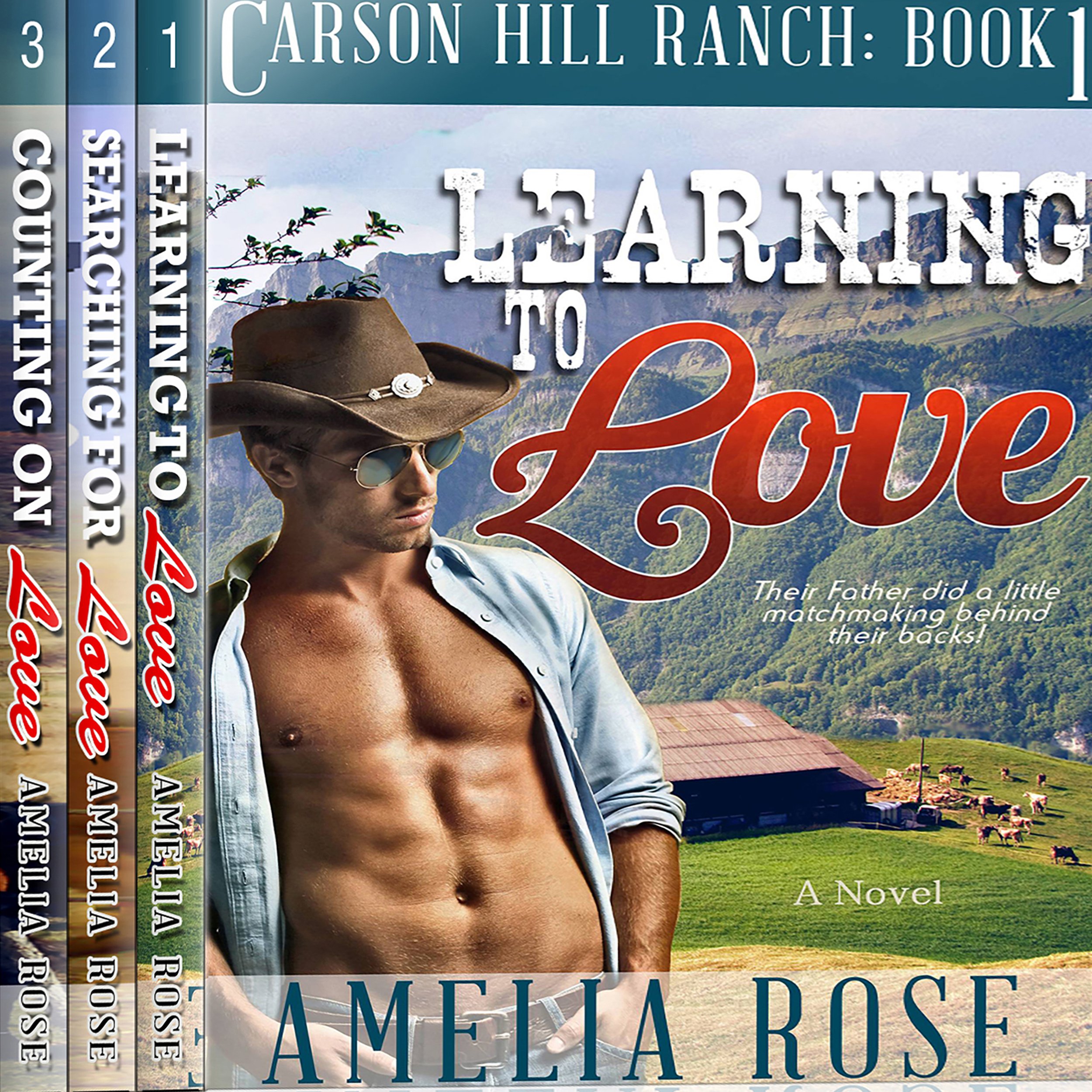 Cover art for Carson Hill Ranch Box Set