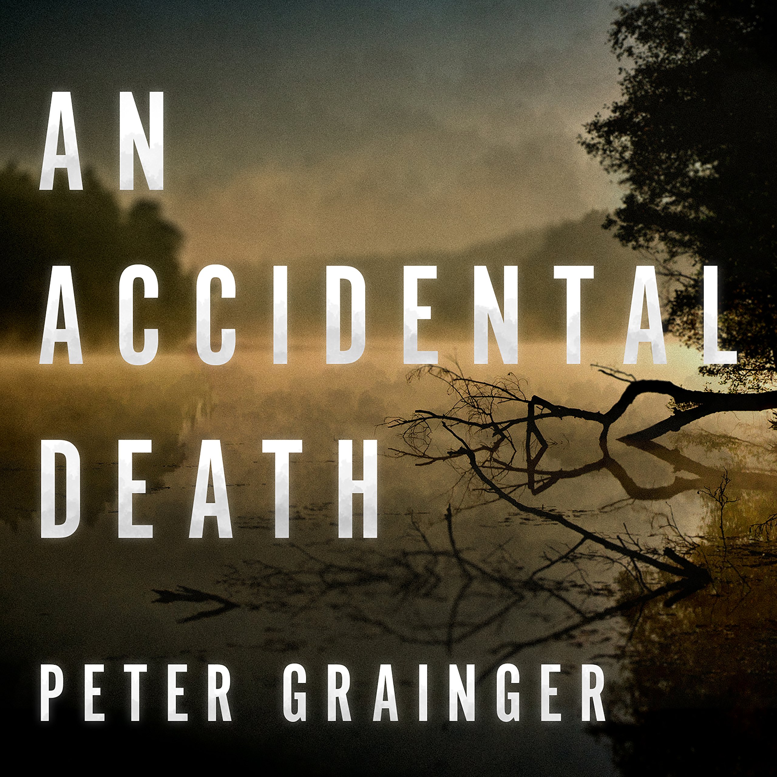An Accidental Death: A DC Smith Investigation Series, Book 1
