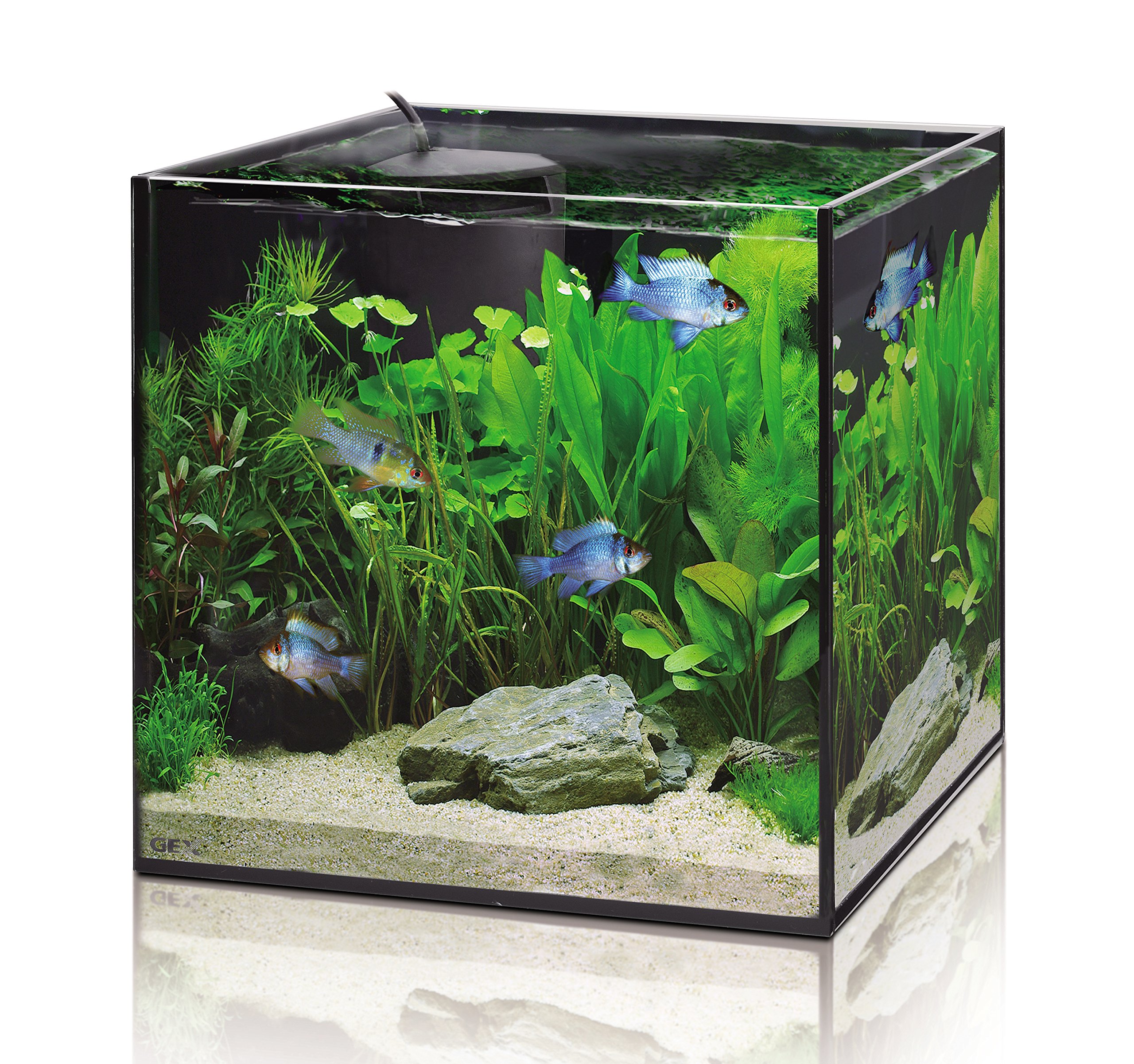 Amazon | GEX AQUA FILTER サイレントフロー Wの静かさハイブリッド
