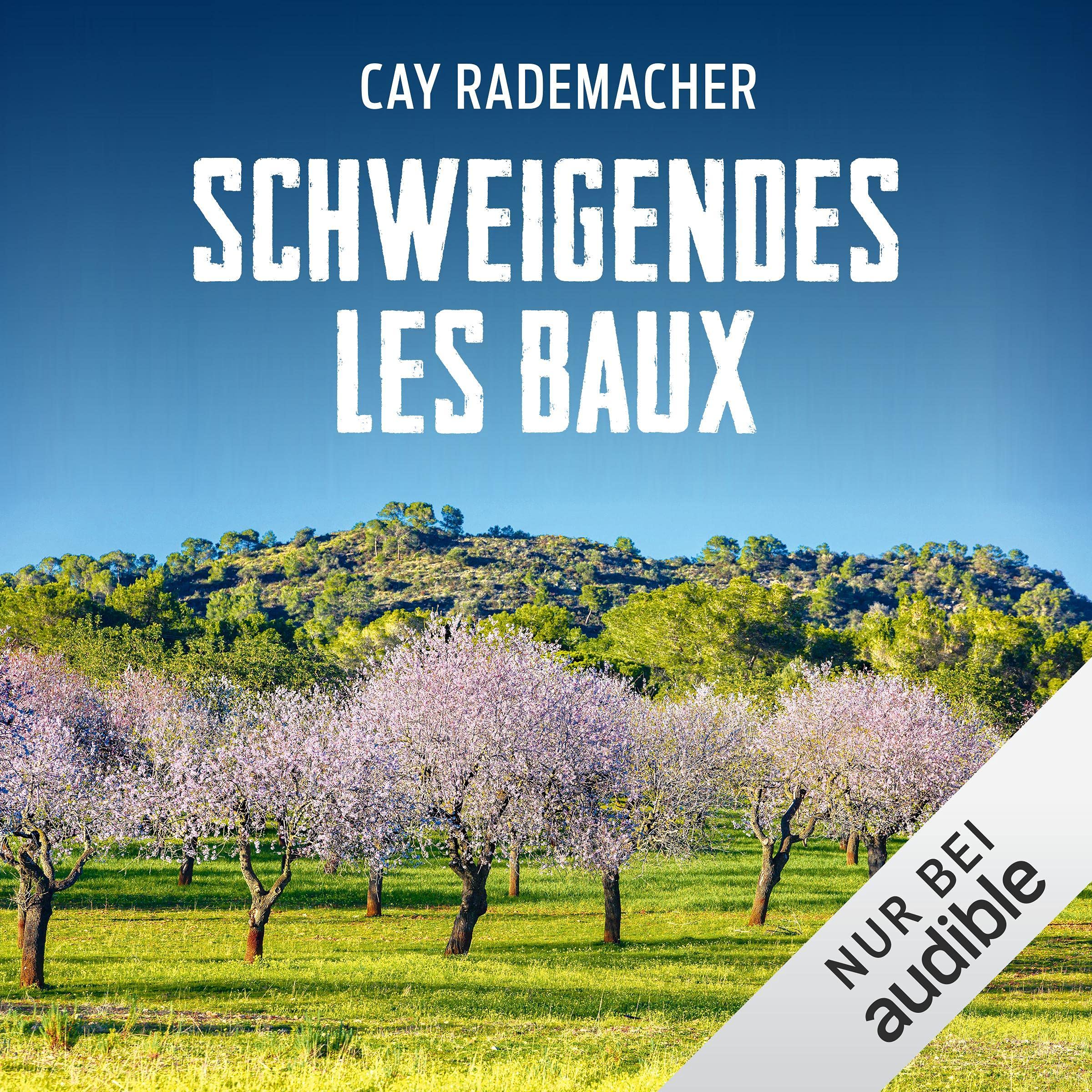Cover art for Schweigendes Les Baux. Ein Provence-Krimi
