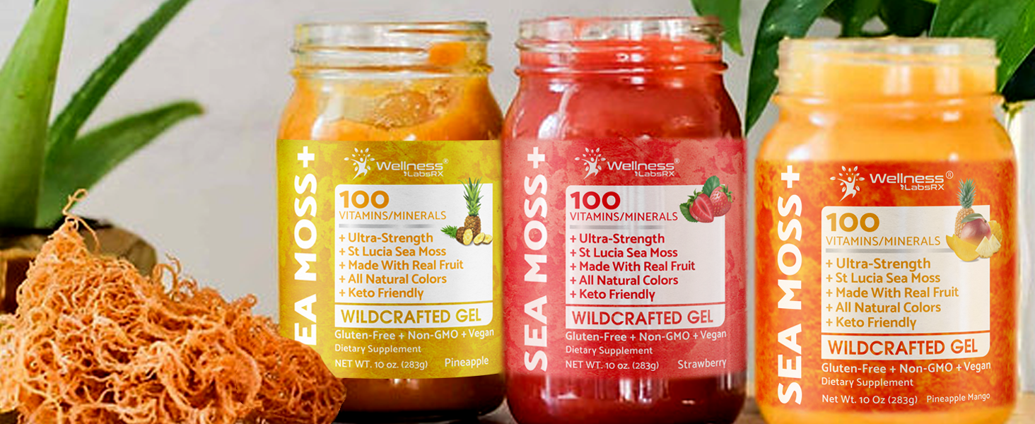 Amazon.com: WELLNESS LABSRX Irish Sea Moss Gel Raw - Wildcrafted
