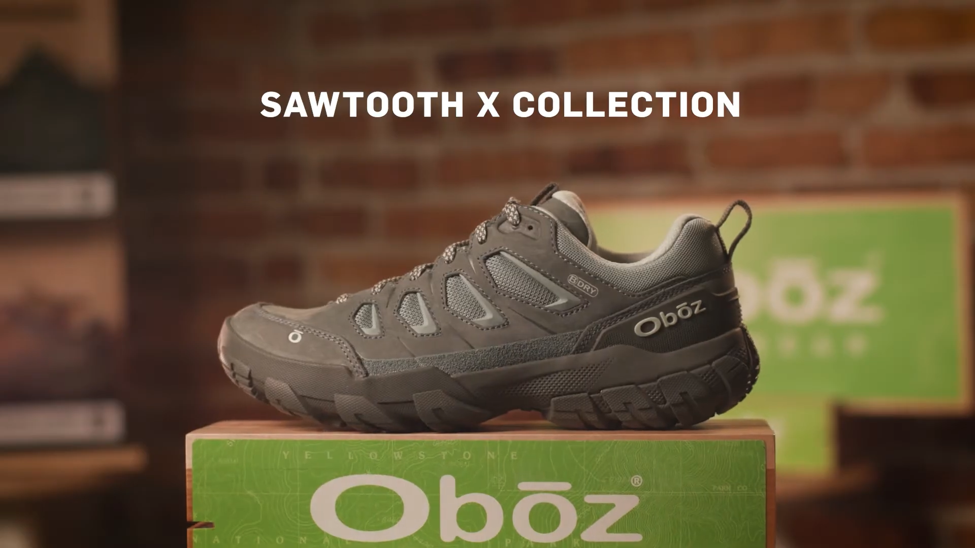 Amazon.com | Oboz Women's Sawtooth X Low B-DRY Hiking Shoe, Eagle