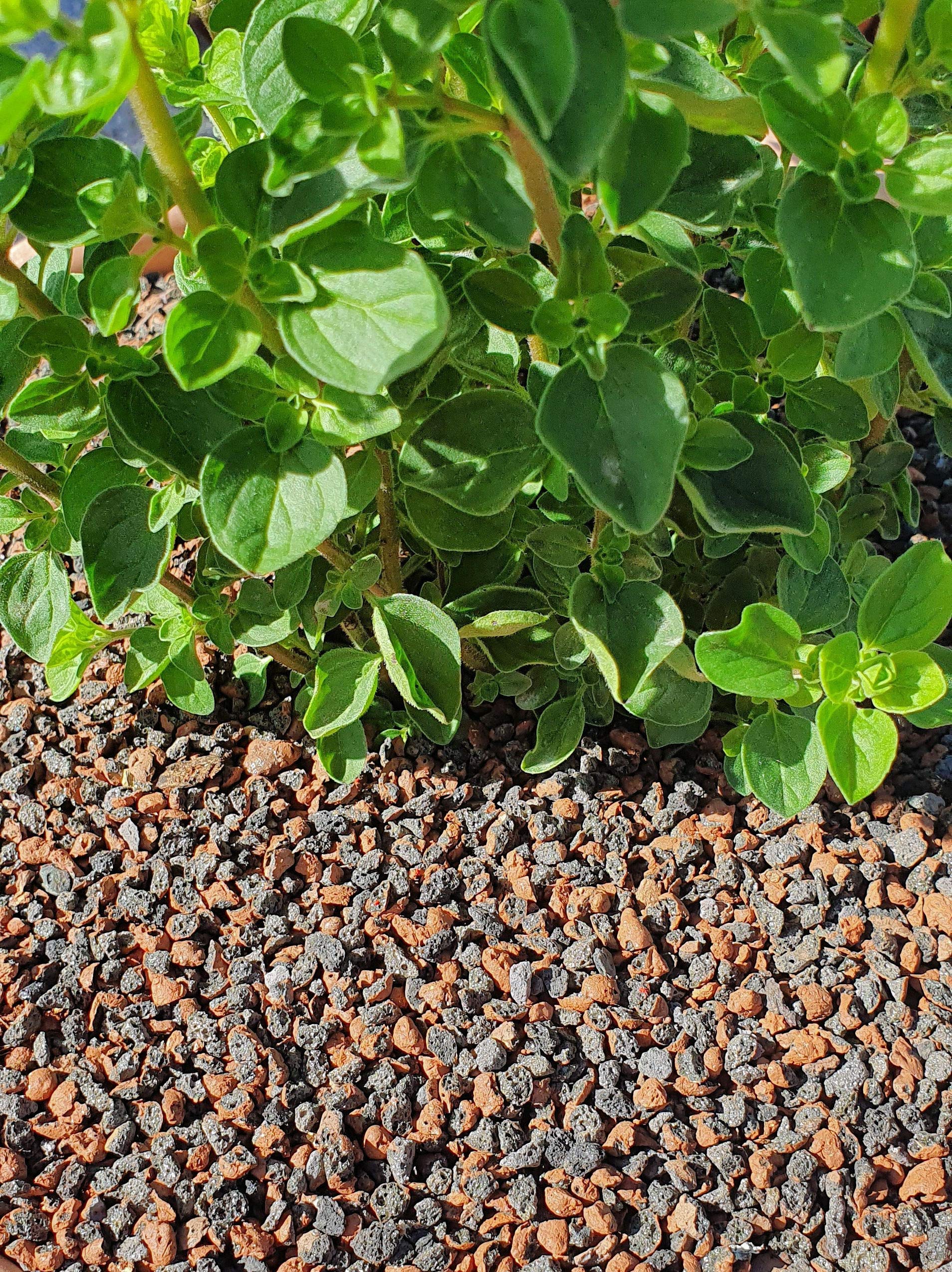 Argile Expansée - Gravier d'argile Concassé 1-5mm Jardin & Plantes - Cailloux Couche de Couverture Terreau Exterieur - Billes Anti-Eau Stagnante - 10 L