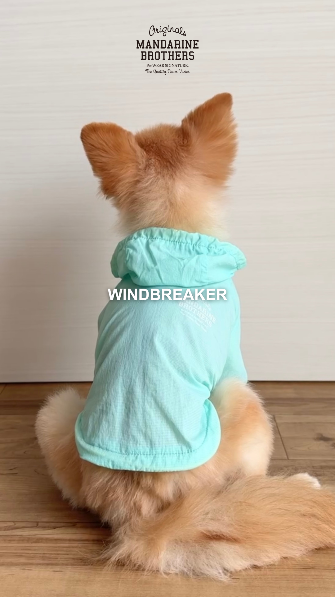 犬軍 ウィンドブレーカー Amazon | MANDARINE BROTHERS マンダリンブラザーズ ウィンド