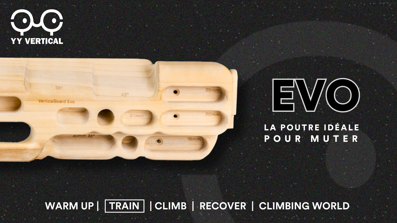 YY Vertical Poutre D'Escalade Light En Bois De Peuplier - Pour Débutants, 7 Prises Incluses, Design Français