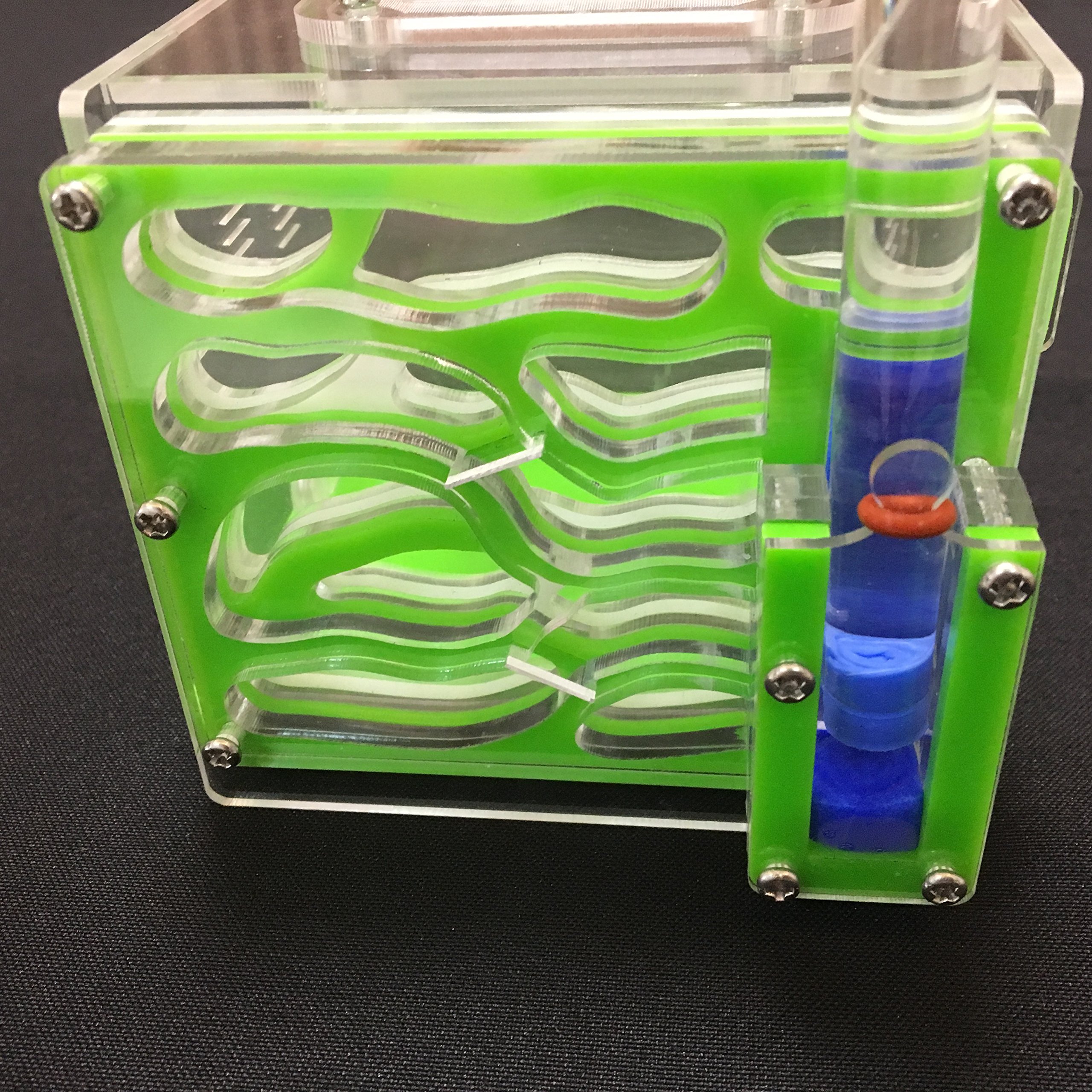 Vivarium/ferme à fourmis avec zone d’alimentation et nid - Acrylique - 4