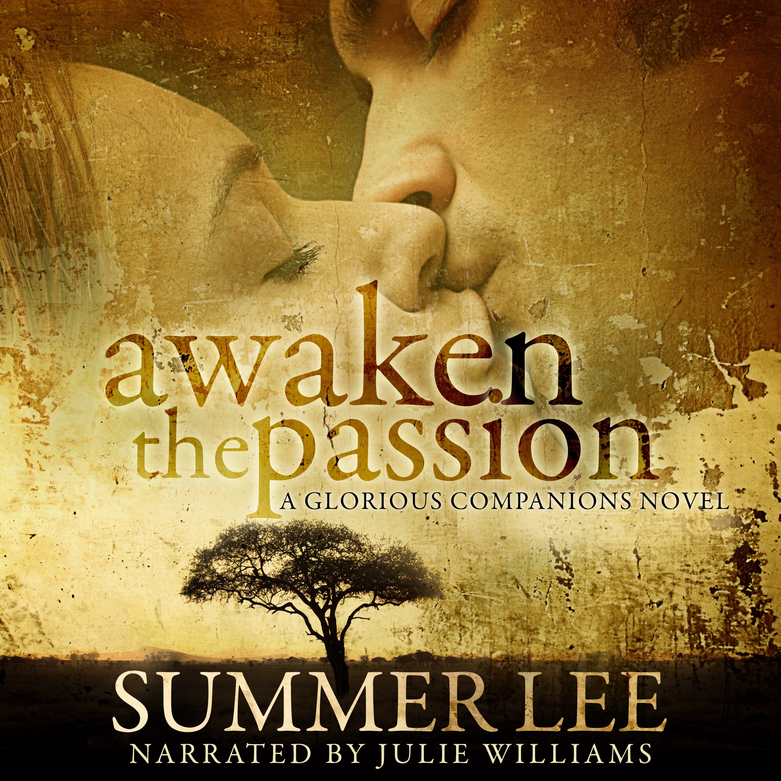 Cover art for Awaken the Passion