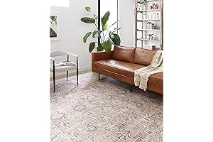 loloi teagan Skye Collection Vintage Inspired Rug