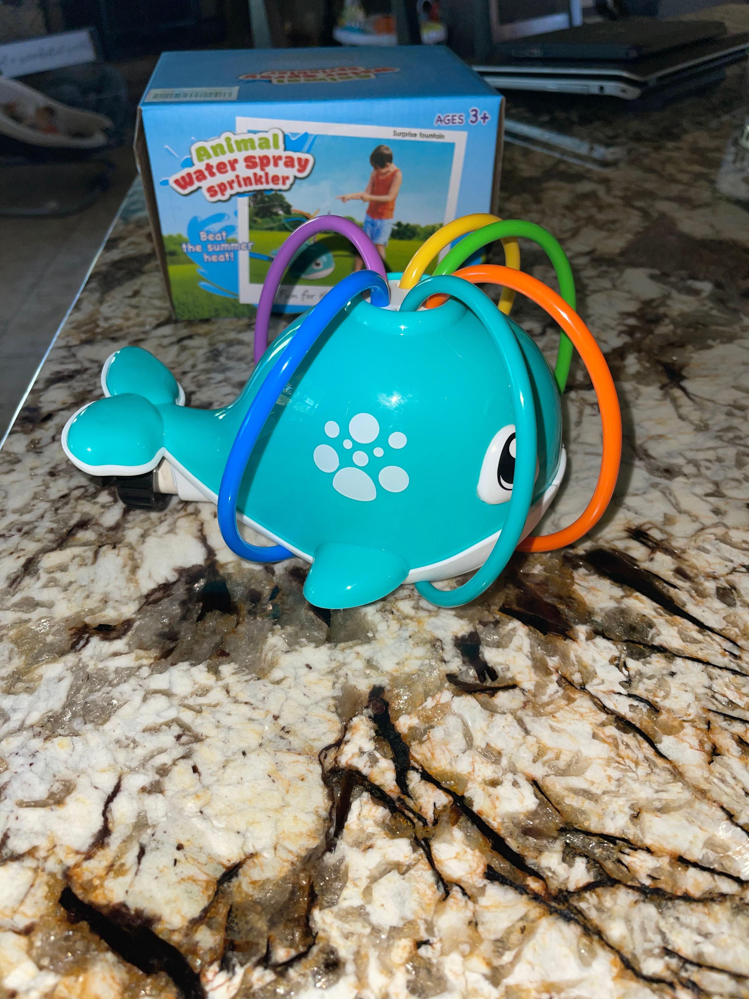 Unbelievable Amazon Finds By Thinjen - 5yyhsq7