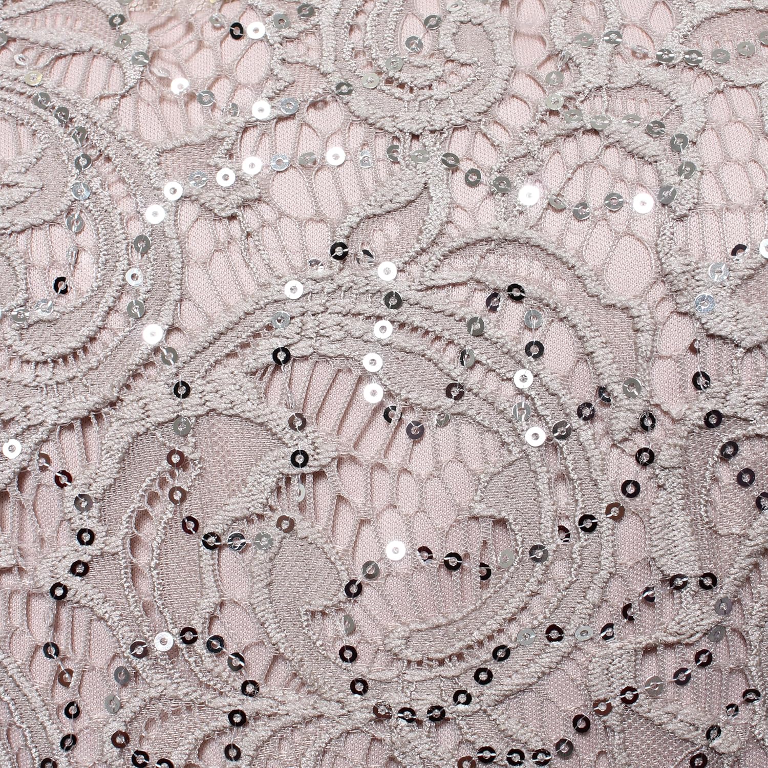 Alex Evenings Womens Long Lace Top Empire Waist Dress - Image 3