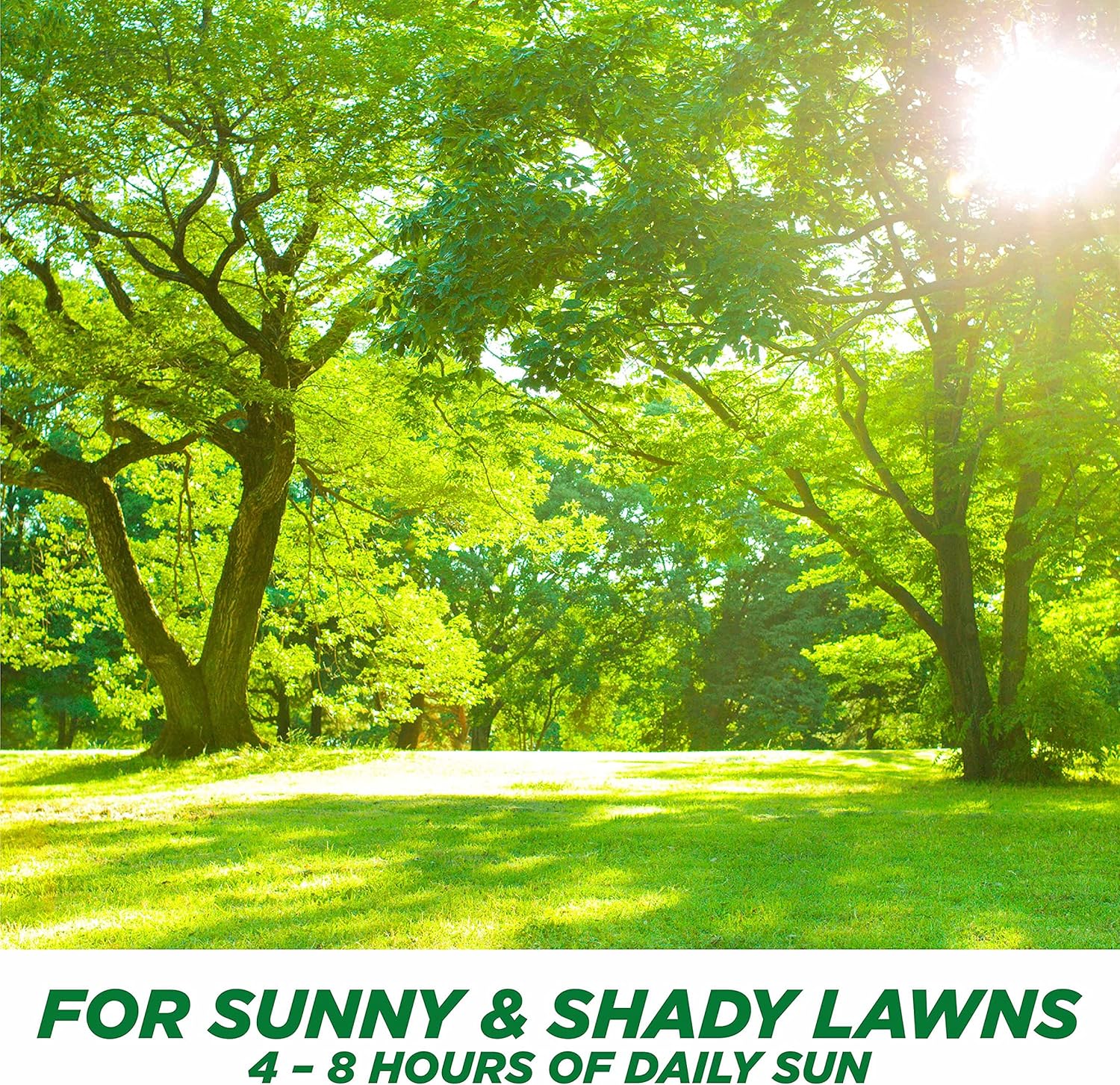 One Step Complete Tall Fescue 5lb. Grass Seed + Mulch + Fertilizer for Patch Repair : Everything Else