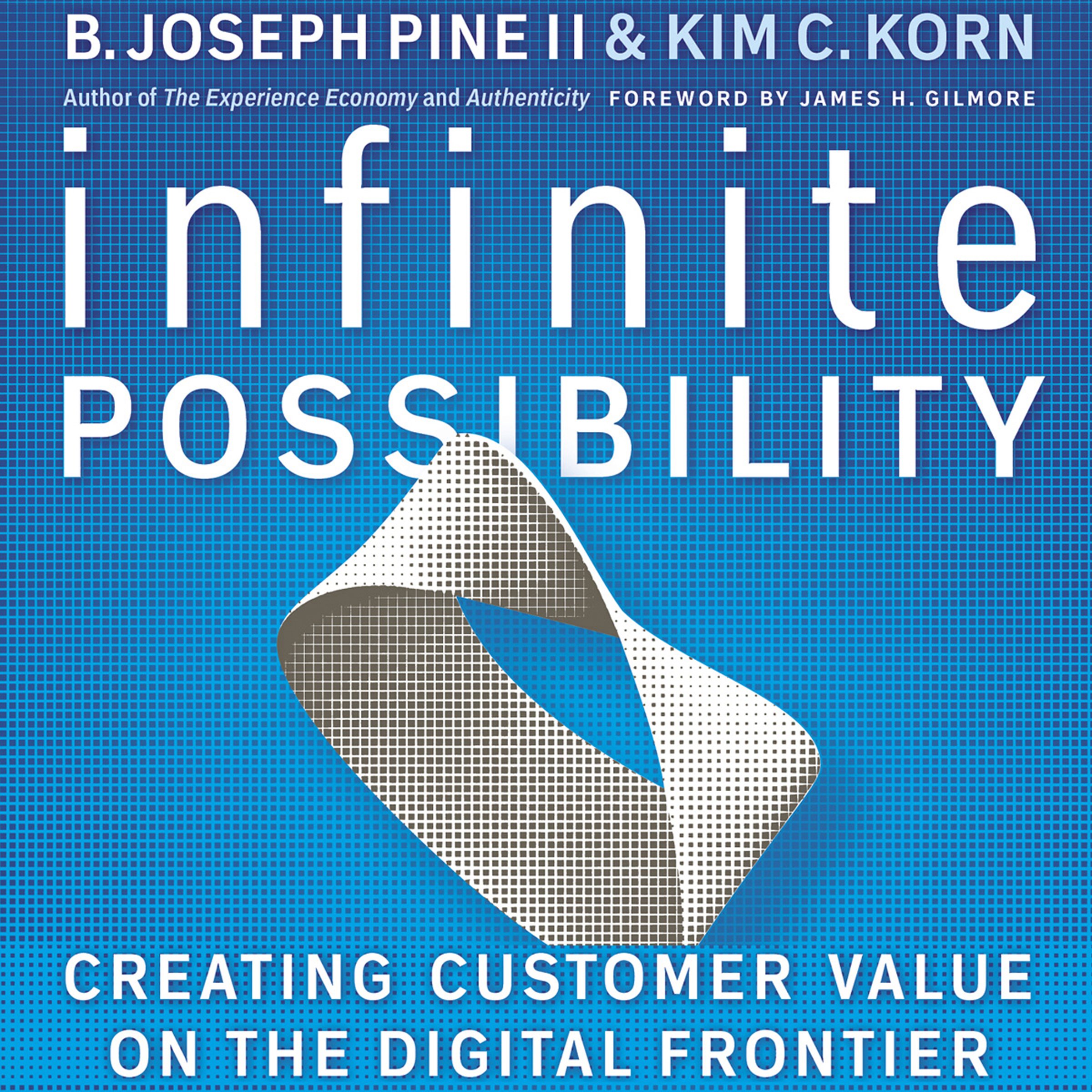 Infinite Possibility: Creating Customer Value on the Digital Frontier