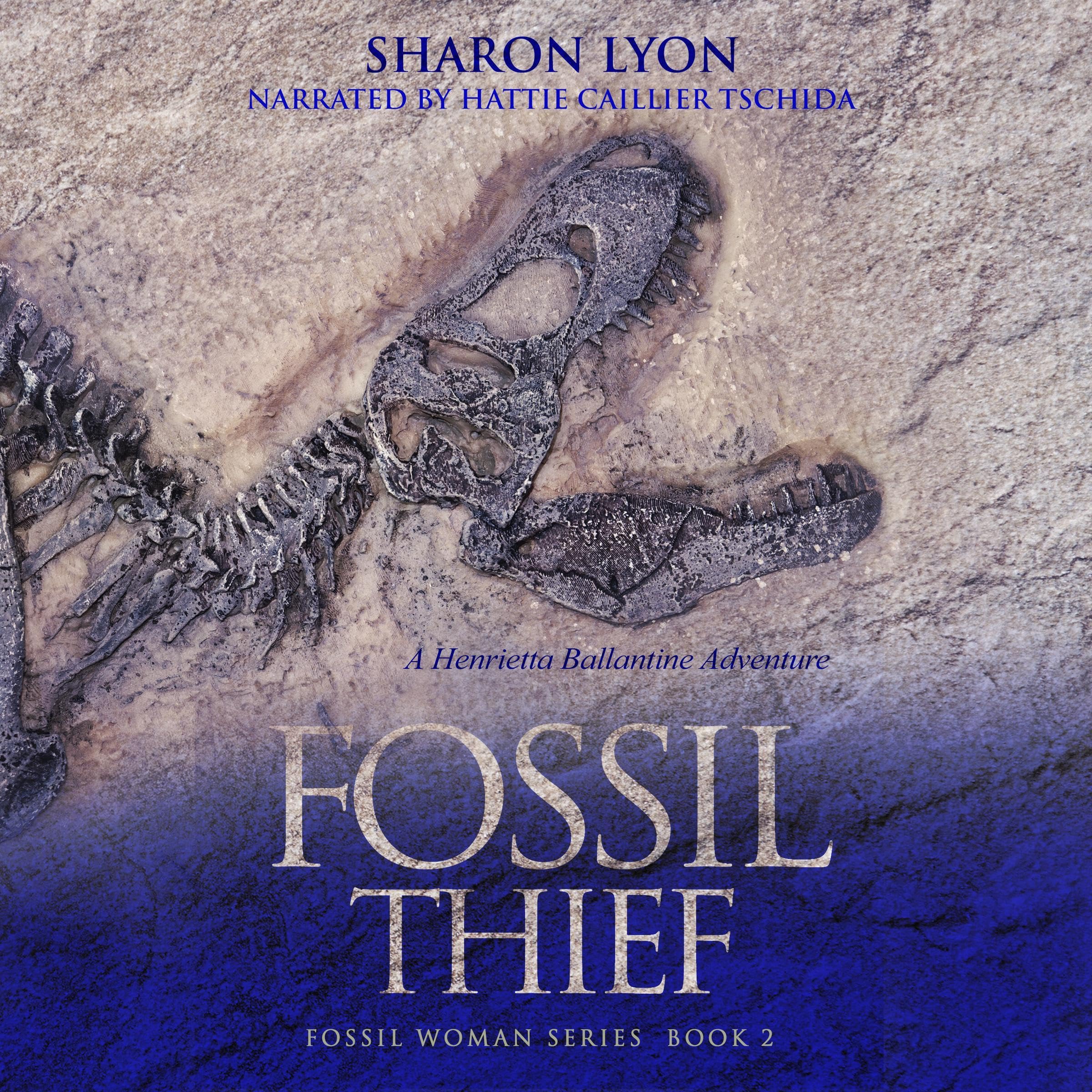 Cover art for Fossil Thief