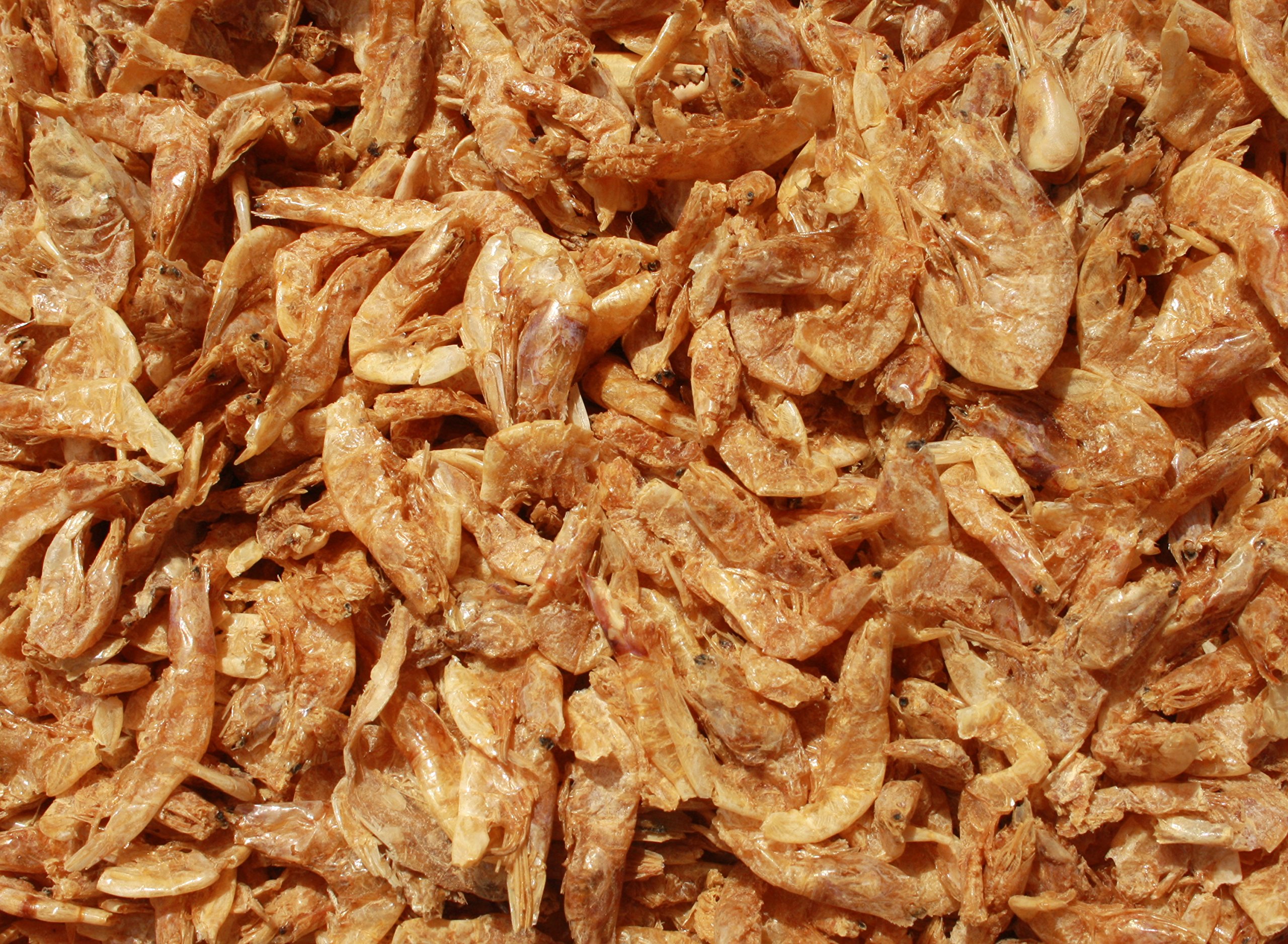 Koifutter Sommer, Garnelen, Koi Gambas, Riesen Shrimps, getrocknete große Süßwassergarnelen, Koifutter Naturnahrung, gesunder, beliebter Koisnack für die Handfütterung der Koi im Sommer 10kg Sack