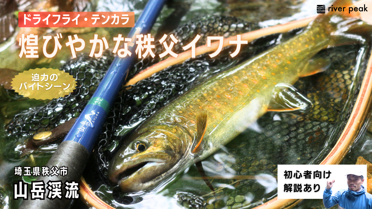 Amazon | river peak(リバーピーク) 山岳スペシャルライン てんから糸 