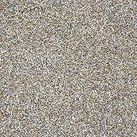 Vista 4 de Semillas de artemisia tridentata (Artemisia tridentata) más de 100 semillas de hierbas medicinales en cápsulas de semillas congeladas