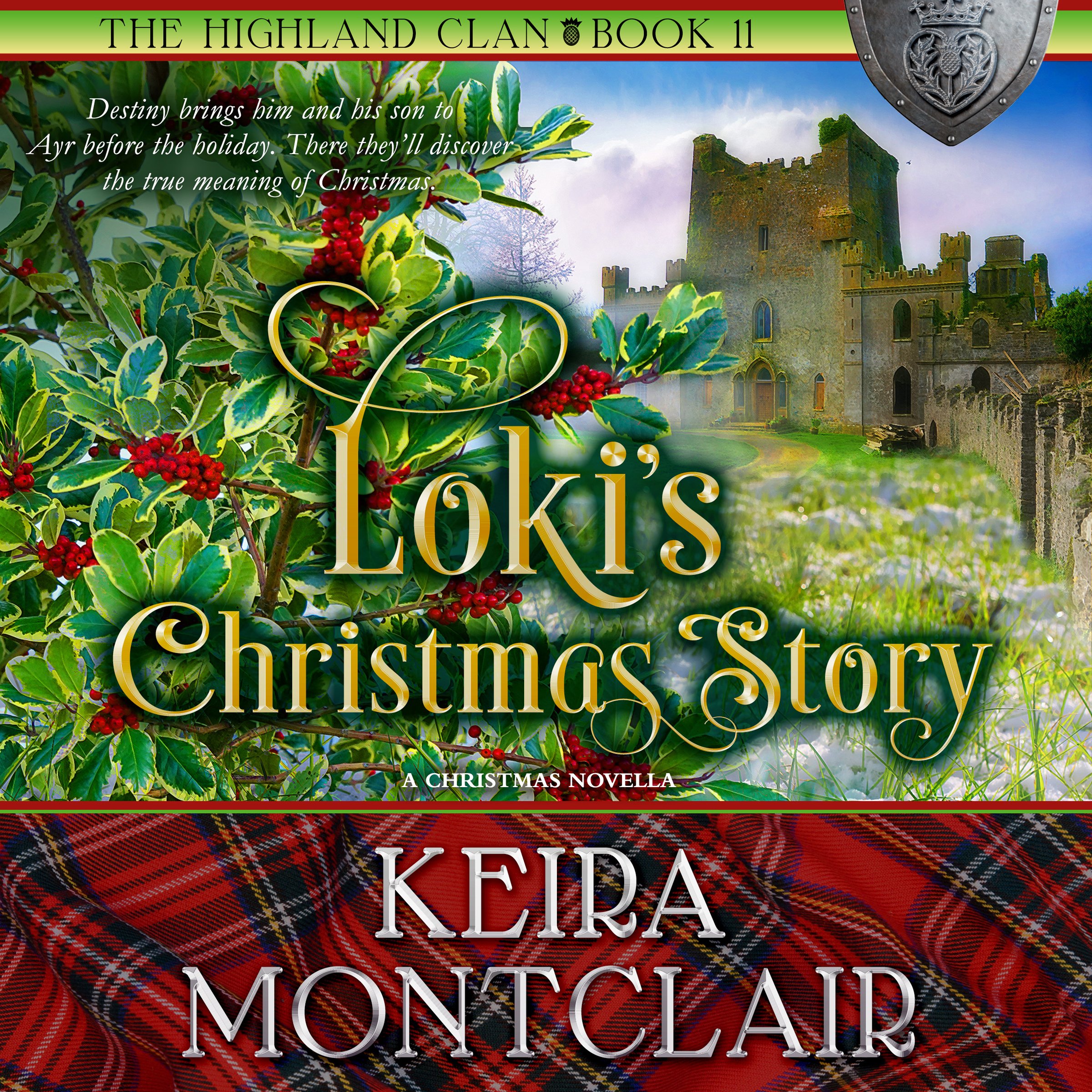 Cover art for Loki's Christmas Story