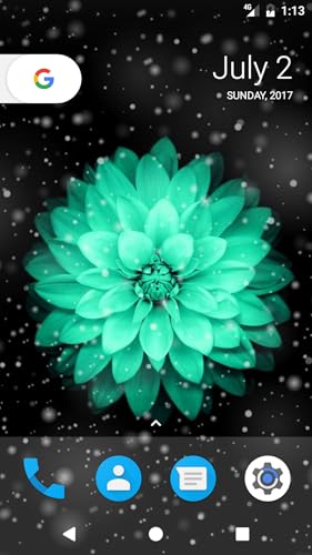 Flower Sprinkle HD Wallpapers