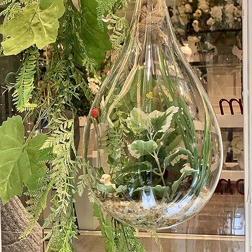 Miniatura 4 de WGV - Maceta colgante terrario, ancho 7.5 pulgadas, altura 15 pulgadas, suculentas de vidrio transparente para suculentas, contenedor floral de