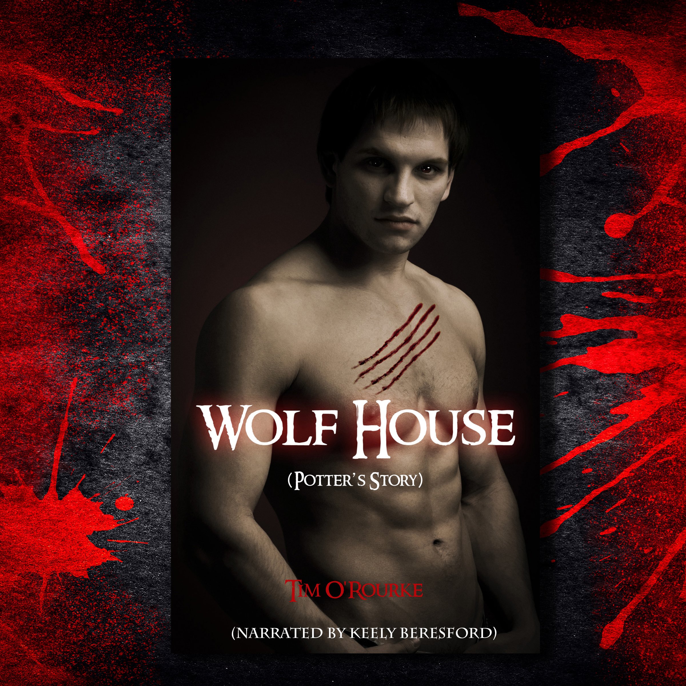 Cover art for Wolf House