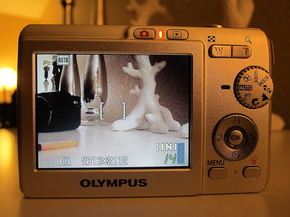 【動作確認済】OLYMPUS FE-190 デジタルカメラ 6.0メガピクセル Amazon.com : OM SYSTEM OLYMPUS FE-190 6MP Digital Camera