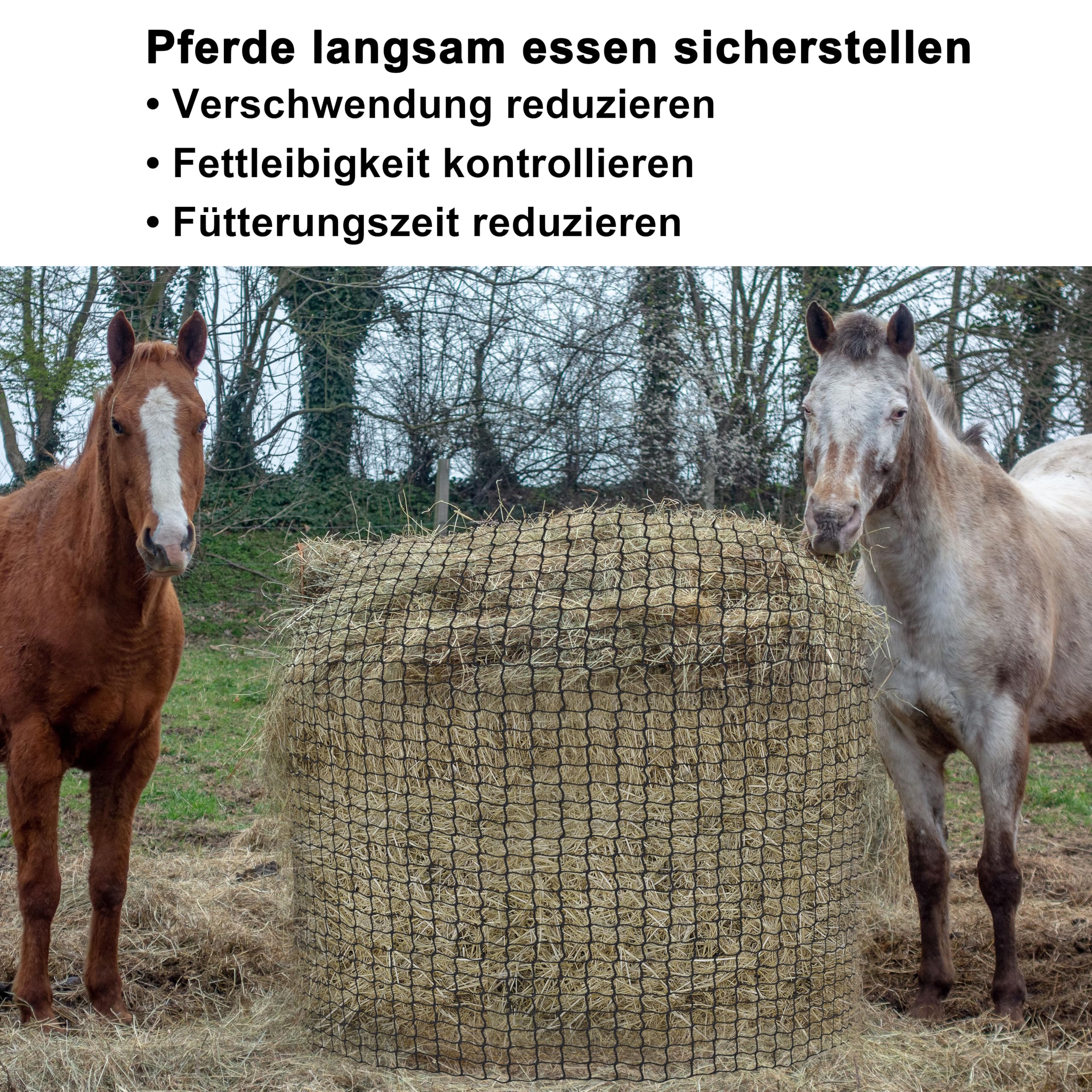 DEYOFA Hay net round bale, wear-resistant hay net for horses round bale, diameter 150 cm, height 150 cm - Image 3