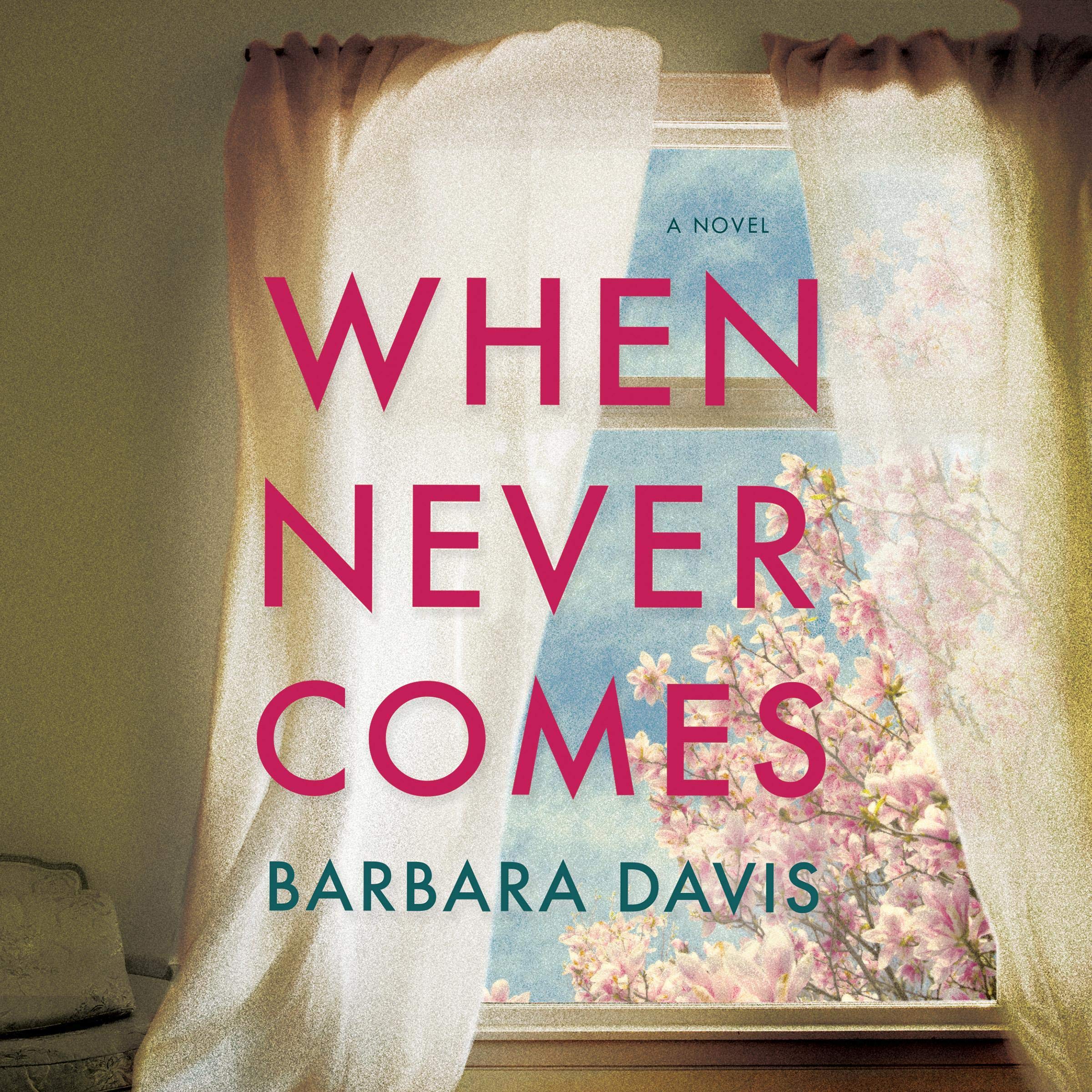 Cover art for When Never Comes