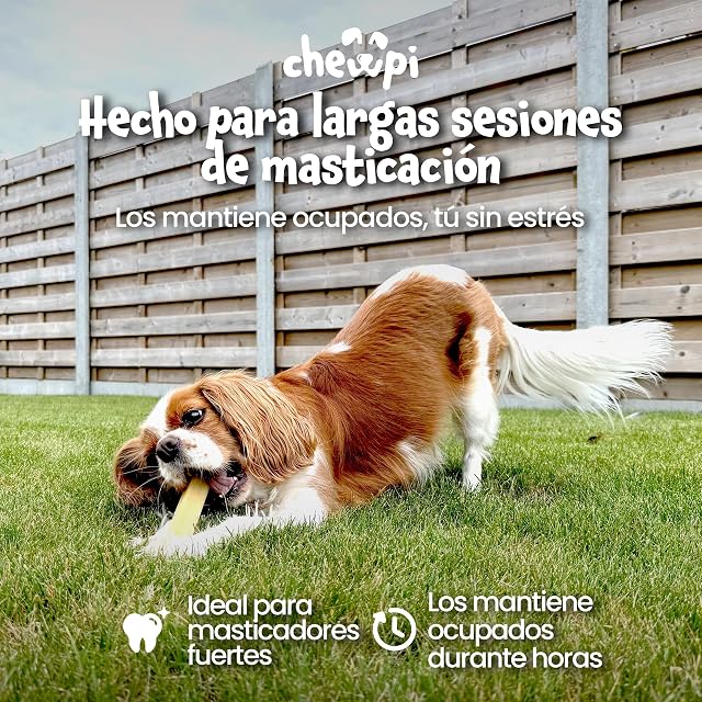 Foto 5 de 8 de Huesos de Queso para Perros M - Pack de 3 - Churpi Himalaya para Perros