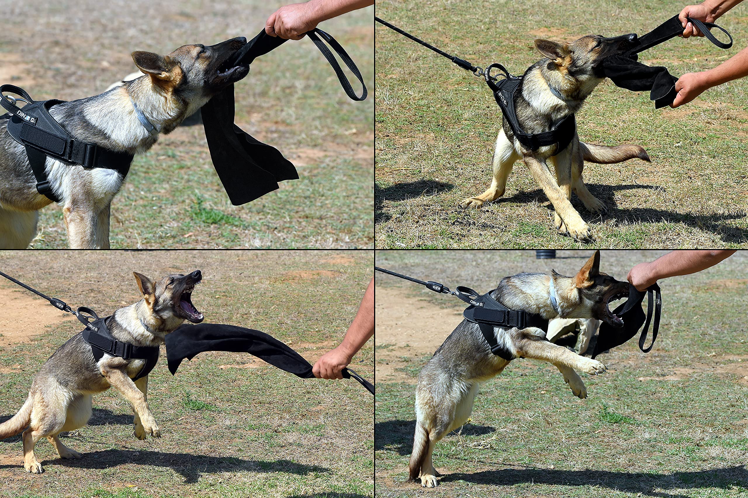 DINGO GEAR Dog Rug Tug Training Toy for Bite Lessons Develop Proper Grip, Prey Drive Chaser with 1 Handle - Image 4